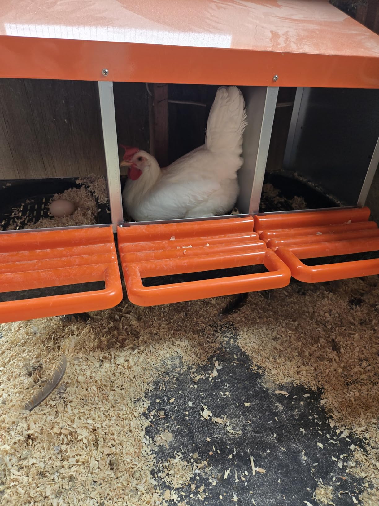 Chicken Nesting Boxes, Metal Chicken Egg Laying Box with Swing Perch and Rollout Egg Collection for Chicken Coop Red 3 Compartments customer photo 2