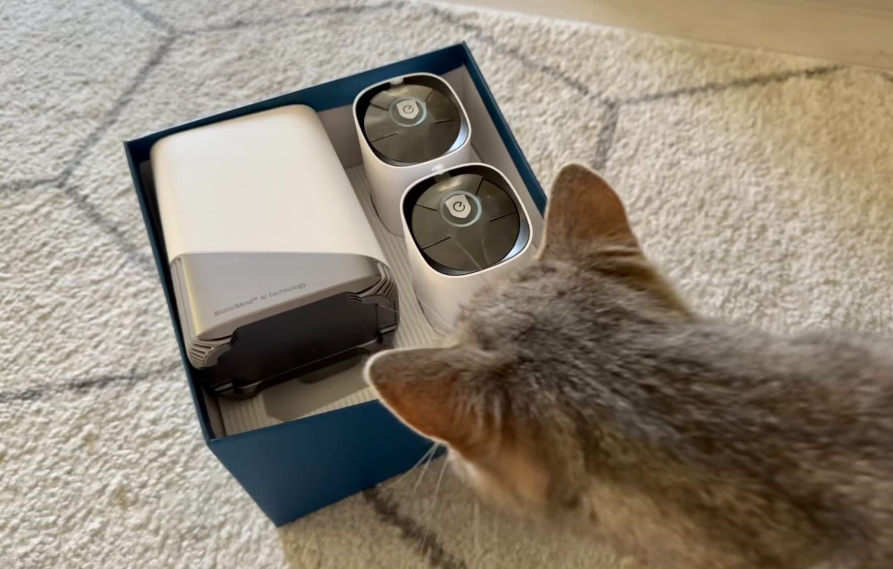 eufyCam S330 (eufyCam 3) 4-Cam Kit, Security Camera Outdoor Wireless, 4K with Integrated Solar Panel, Face Recognition AI, Expandable Local Storage, Spotlight, No Monthly Fee customer photo 2