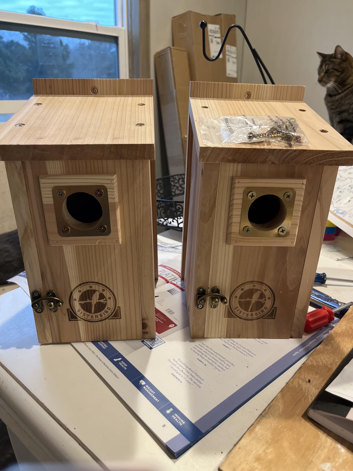 Bird Houses for Outside 1-1/2 inch Entrance Hole Cedar Birdhouses with Metal Guard Outdoor Bluebird Wren Swallow Finch Assembly Required customer photo 1