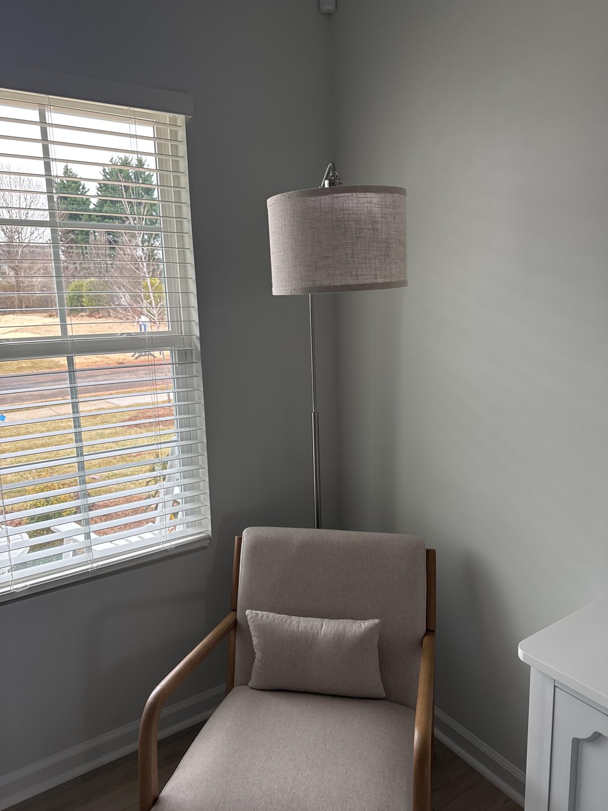 Seaside village Arc Floor Lamps for Living Room, Modern Standing Lamp with Adjustable Hanging Drum Shade, Tall Pole Lamp with Foot Switch, Over Couch Arched Reading Light for Bedroom, Office (Black) customer photo 1