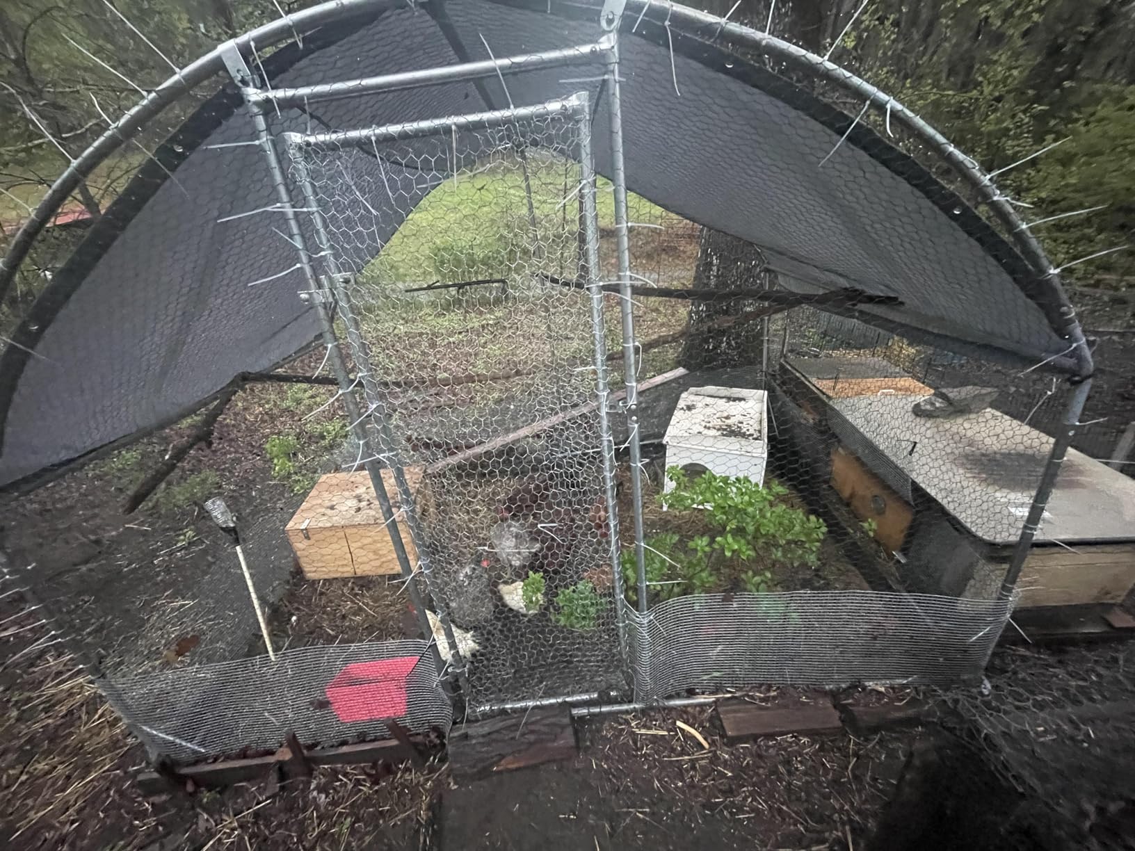 Large Metal Chicken Coop Upgrade Tri-Supporting Wire Mesh Chicken Run,Chicken Pen with Water-Resident and Anti-UV Cover,Duck Rabbit House Outdoor(9'W x 19'L x 6.5'H) customer photo 1