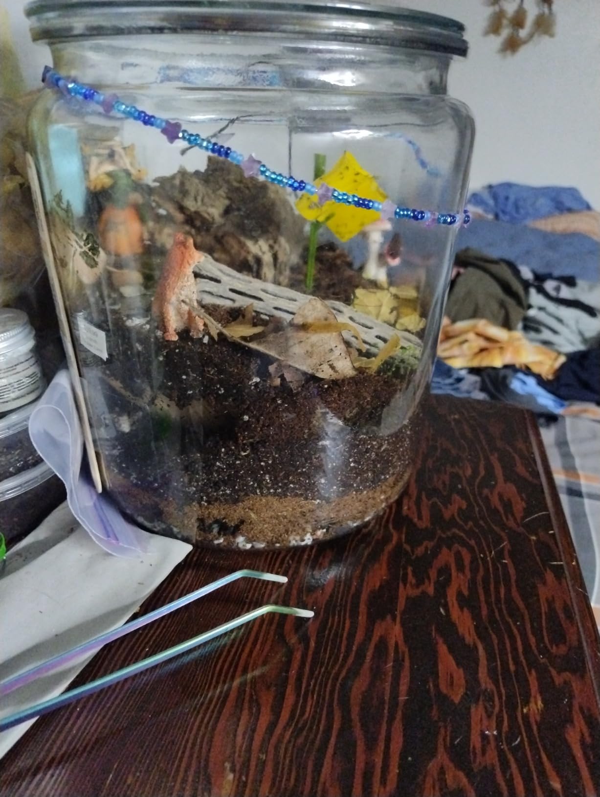 4 in 1 Quarium Aquascape Tools Kits, Anti-Rust Stainless Steel Aquatic Plant Aquascaping Tweezers, Scissors, Spatula for Aquarium Tank Cleaning Fish Tank Aquascape Tools Sets customer photo 1