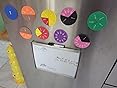 Magnetic Fraction Tiles Circles 51 pcs Fraction Bars Set, Rainbow Math Manipulatives for Preschool Elementary School Classroom Educational Kit customer photo 1