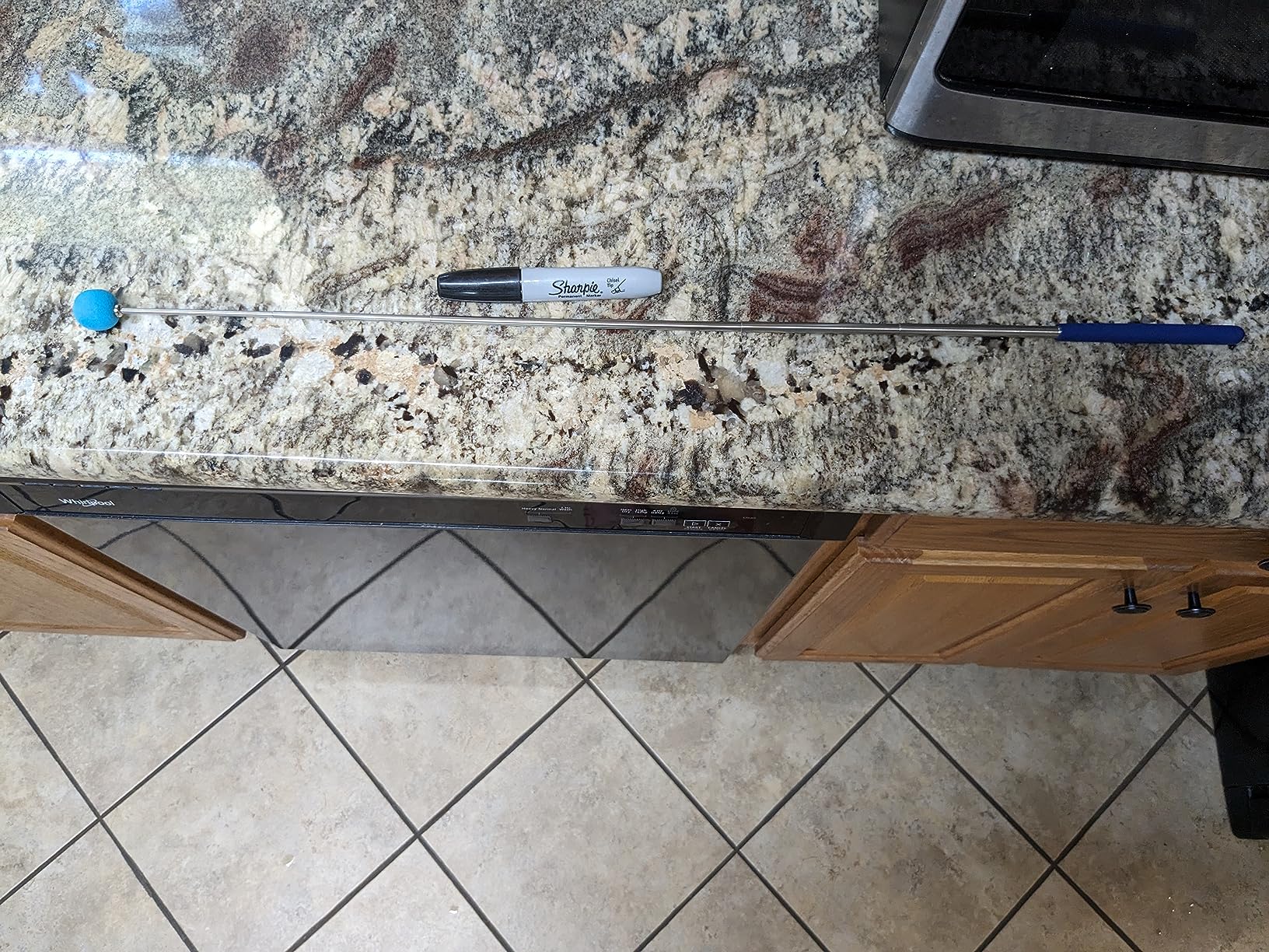 Company of Animals Coachi Target Stick, Telescopic Design with Large Ball for Target, Dog Accessory for Clicker & Agility Training, Teach Commands and Tricks customer photo 1