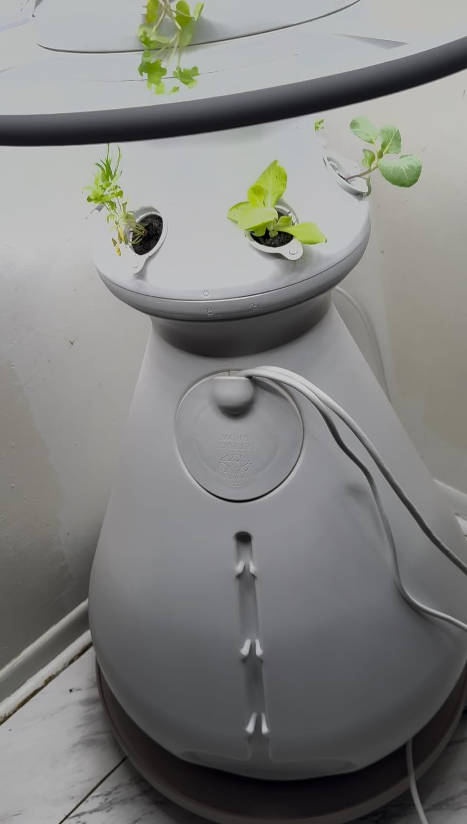 Farmstand Starter Kit with Glow Rings + 30 Seedling Credits | 5 ft Vertical Hydroponic Garden Tower | Self-Watering Family Growing System for Vegetables, Herbs & Greens customer photo 1