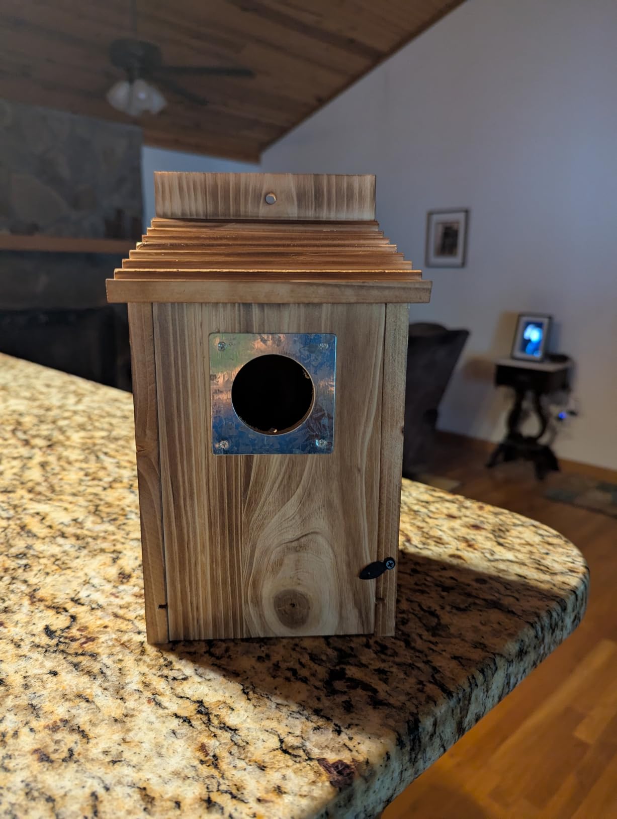 Bird Houses for Outside with Metal Predator Guard for Bluebird Wren Swallow Finch, Carbonized Wooden Nesting Boxes for Outdoor, Sturdy Bird House, Easy to Clean customer photo 1