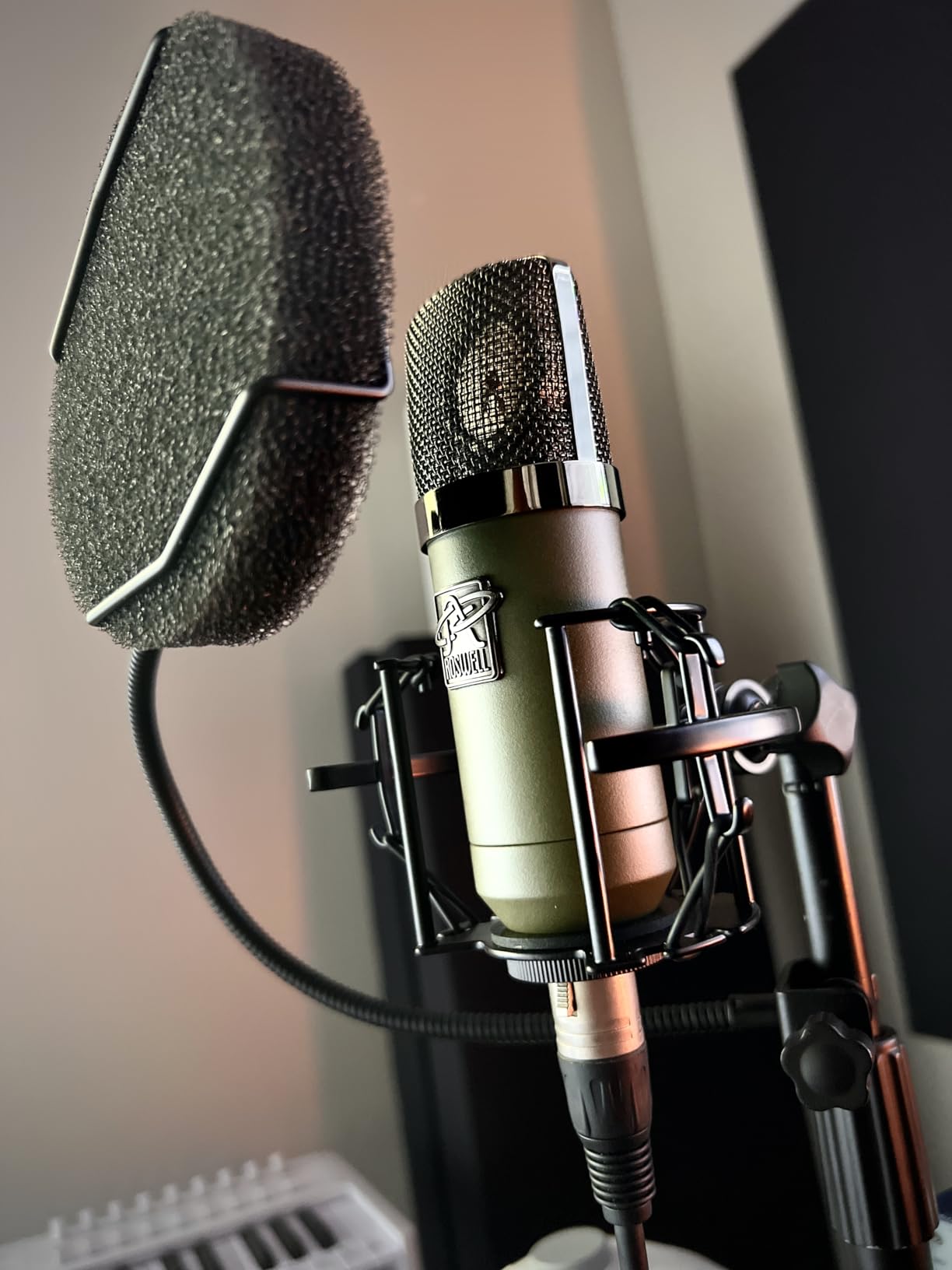 Pop Filter for Microphone - Sponge Layered Pop Wind Screen with Enhanced Flexible 360 Degree Gooseneck customer photo 1