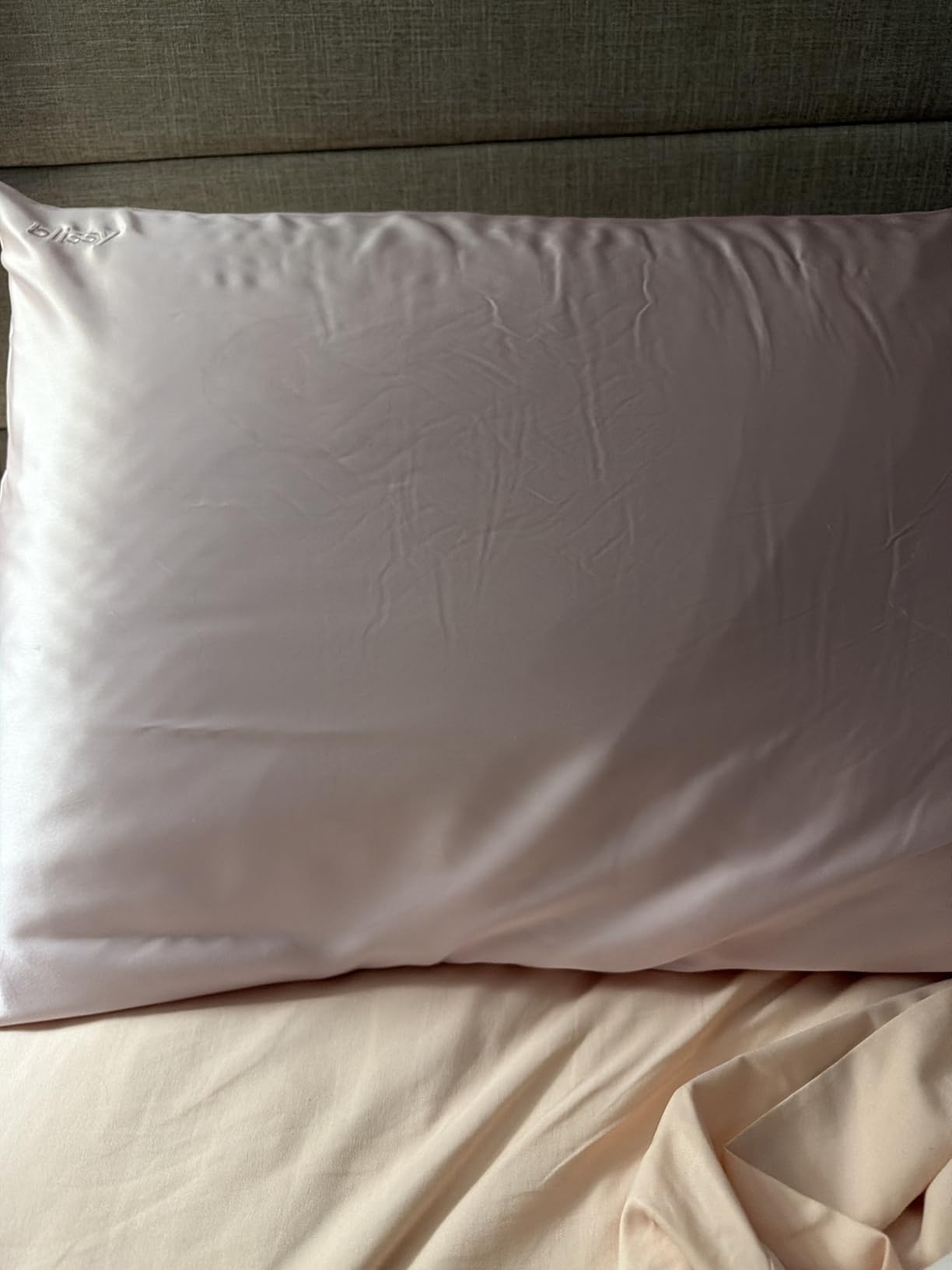 Blissy Silk Pillowcase - 100% Pure Mulberry Silk - 22 Momme 6A High-Grade Fibers - Silk Pillow Cover for Hair & Skin - Regular, Queen & King (Blissy White, Standard) customer photo 1