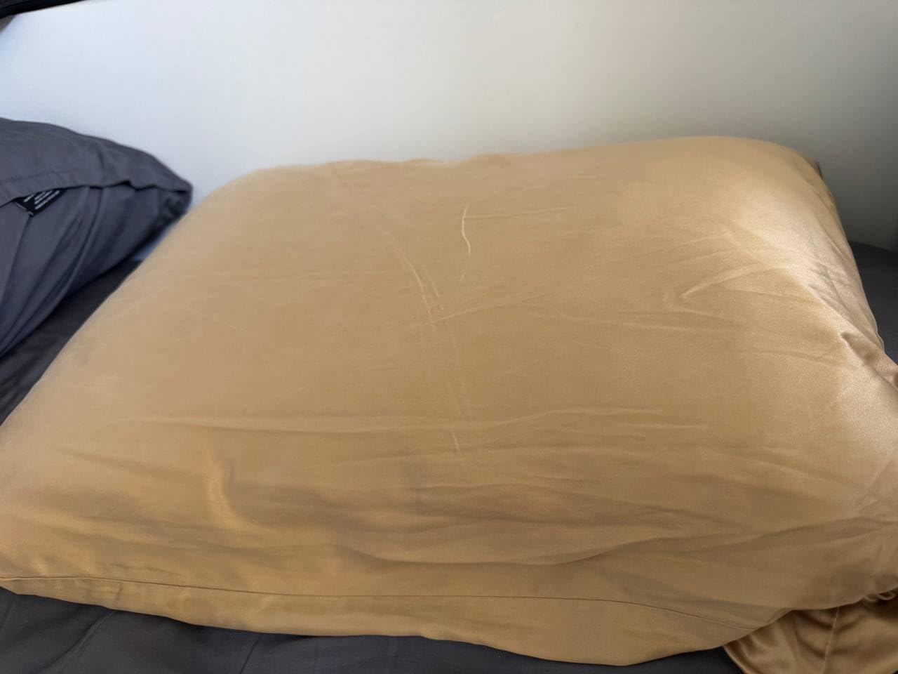 Blissy Silk Pillowcase - 100% Pure Mulberry Silk - 22 Momme 6A High-Grade Fibers - Silk Pillow Cover for Hair & Skin - Regular, Queen & King (Blissy White, Standard) customer photo 2