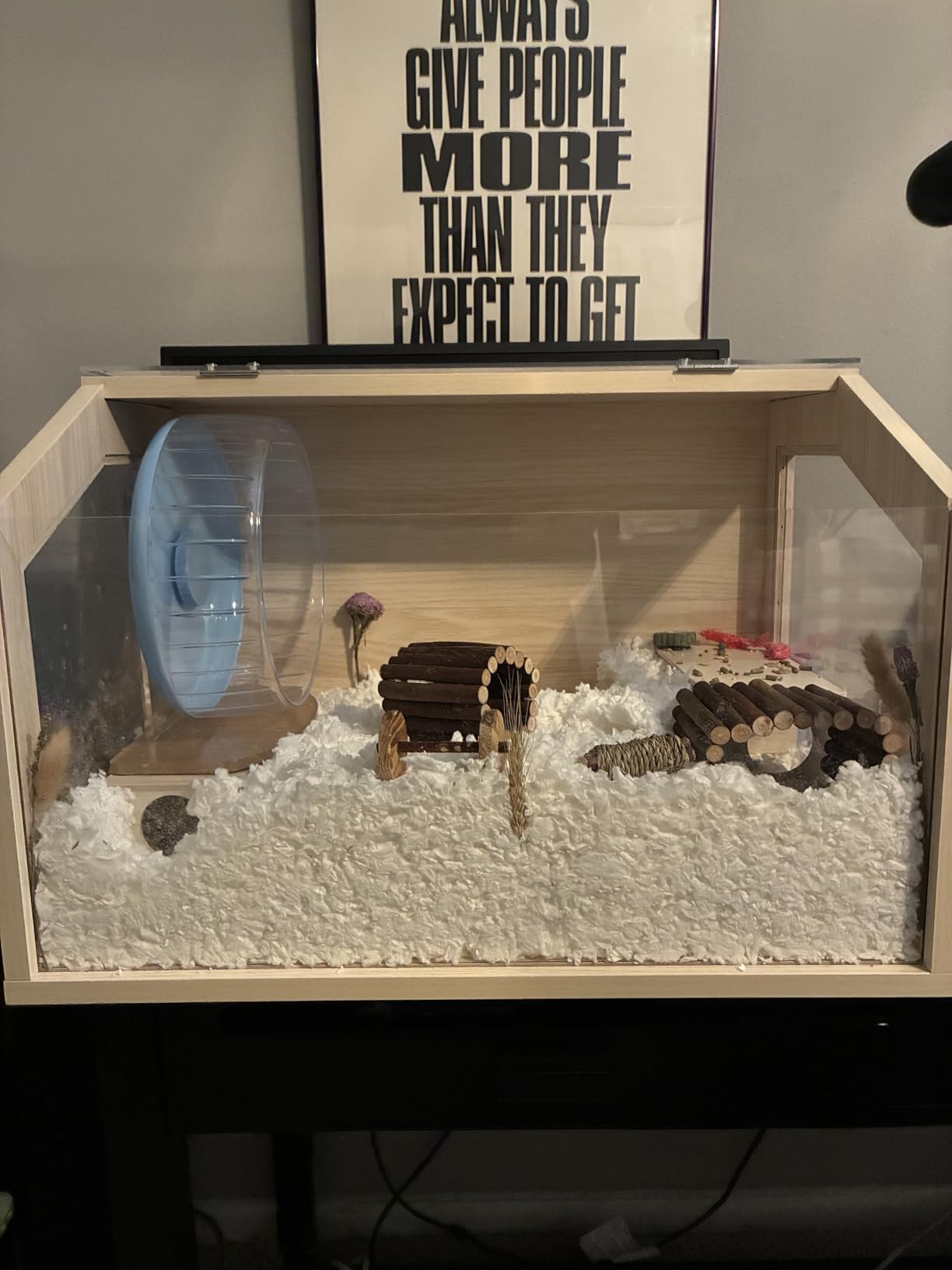Hamster Cage Chewproof, Large Hamster Cages and Habitats, Openable Top with Acrylic Sheets, Solid Built customer photo 1