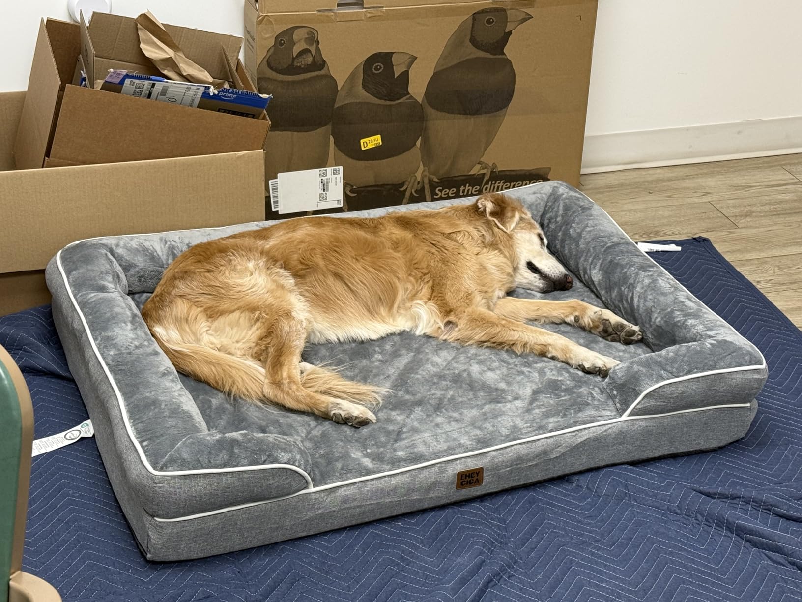 EHEYCIGA Orthopedic Dog Beds for Extra Large Dogs 44x32Inch, Waterproof Memory Foam XL Pet Bed with Sides, Non-Slip and Egg-Crate Foam Big Dog Couch Bed with Washable Removable Cover, Grey customer photo 2