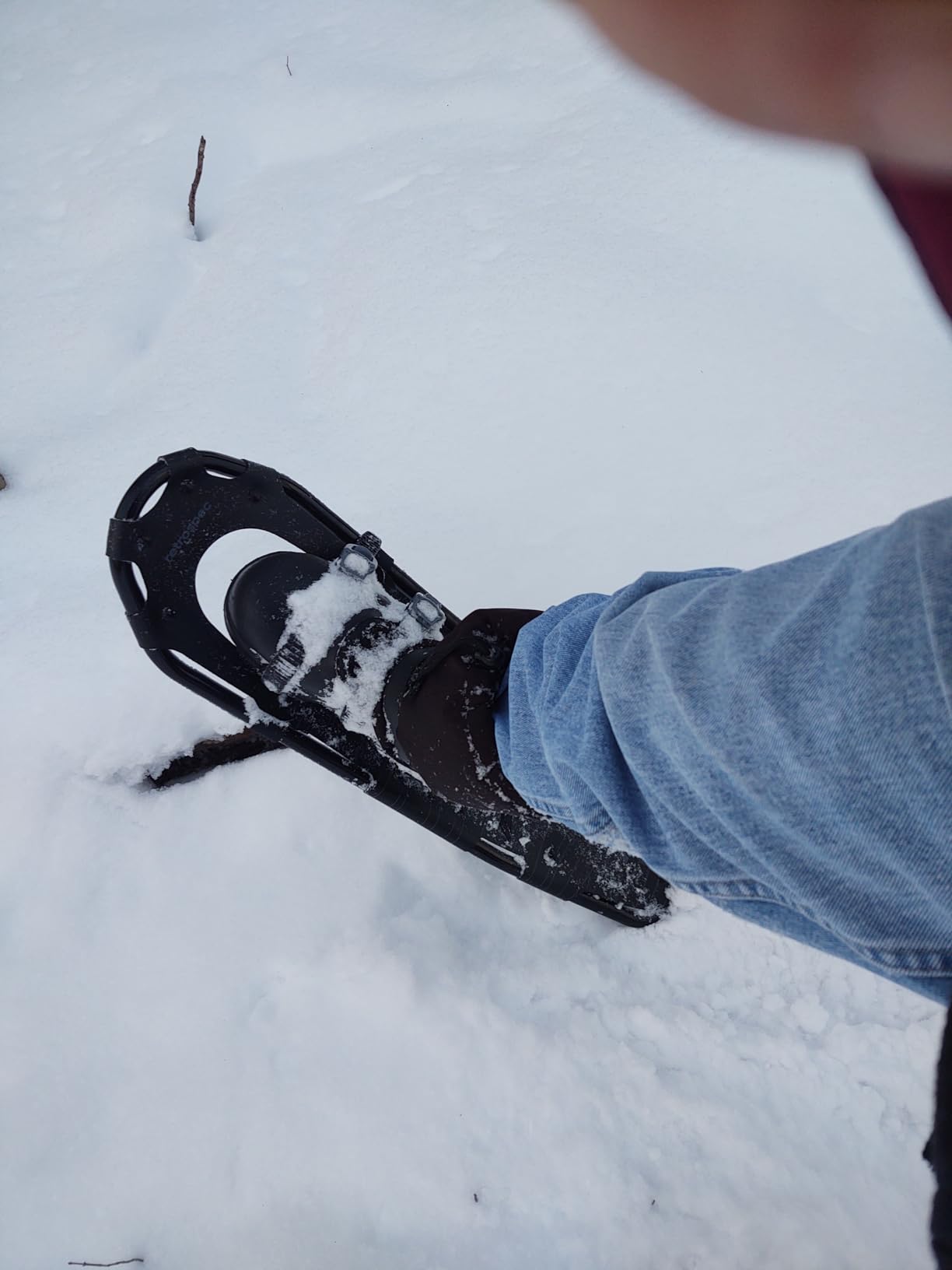 Retrospec Drifter Snowshoes & Trekking Poles Bundle with Adjustable Bindings - Lightweight Aluminum Snow Shoes for Women & Men - All Terrain Hiking & Winter Sports customer photo 1