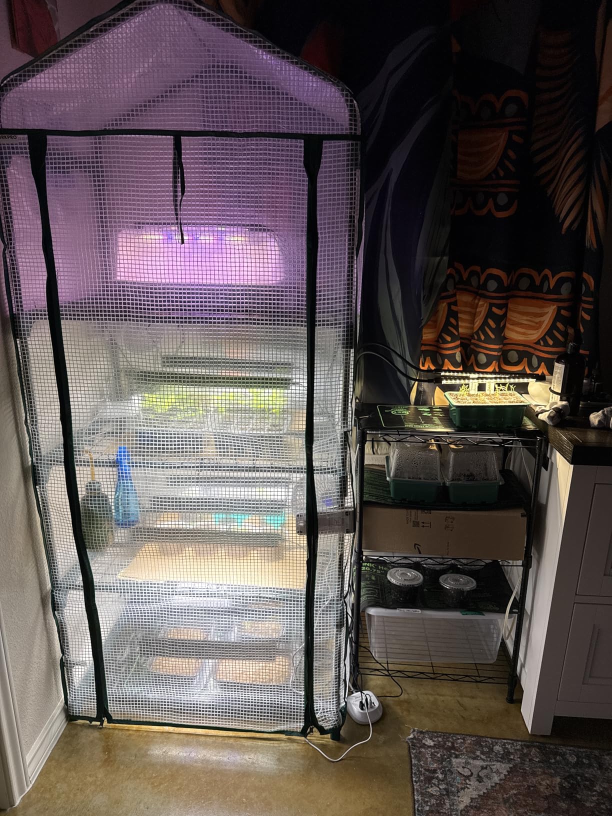 WORKPRO Greenhouse, 56 x 56 x 77