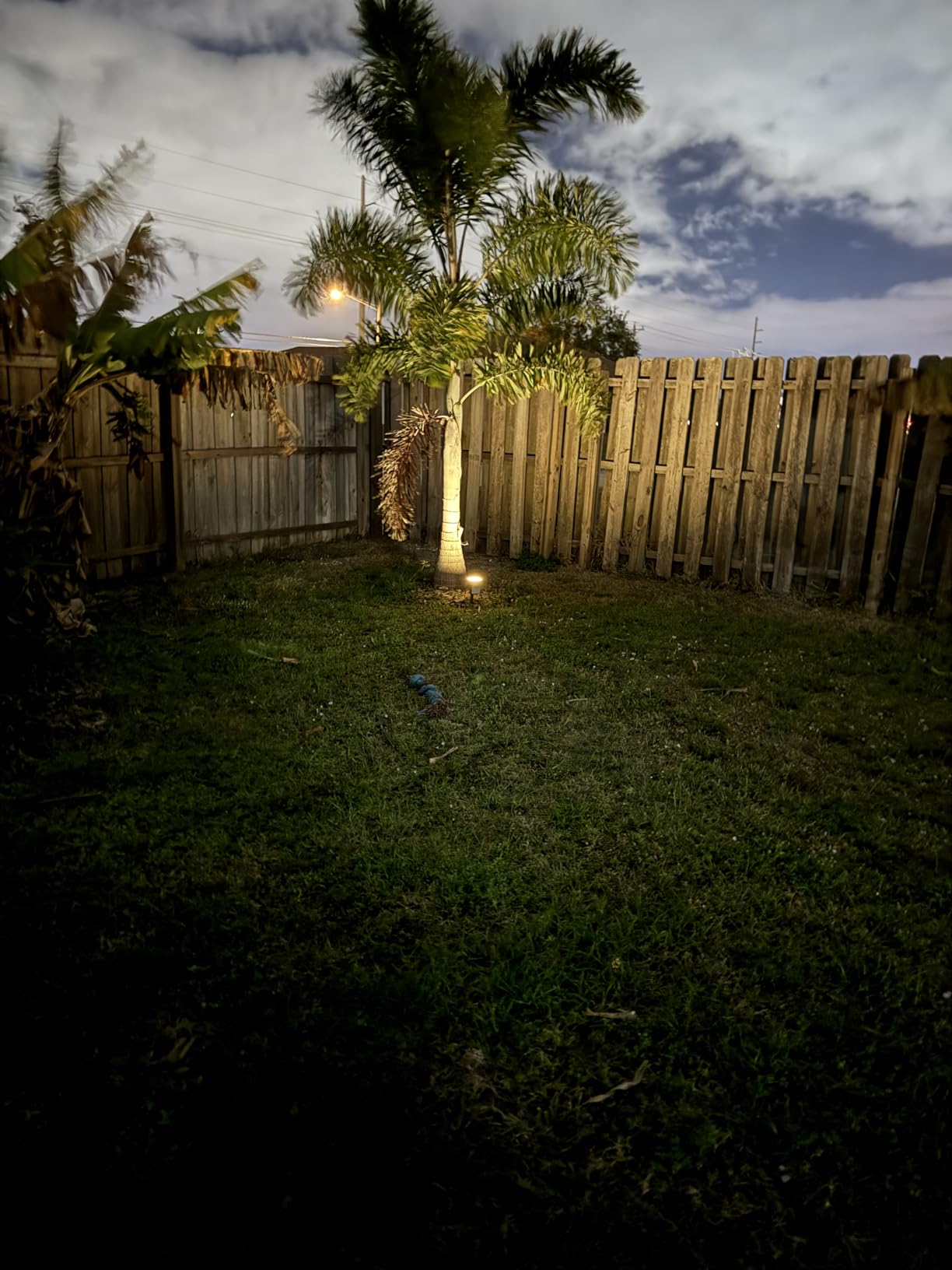 NYMPHY Solar Lights Outdoor Waterproof IP68, 56 LED 3 Lighting Modes Solar Powered Garden Yard Spot Solar Lights for Outside Landscape- 4 Pack (Warm White) customer photo 1