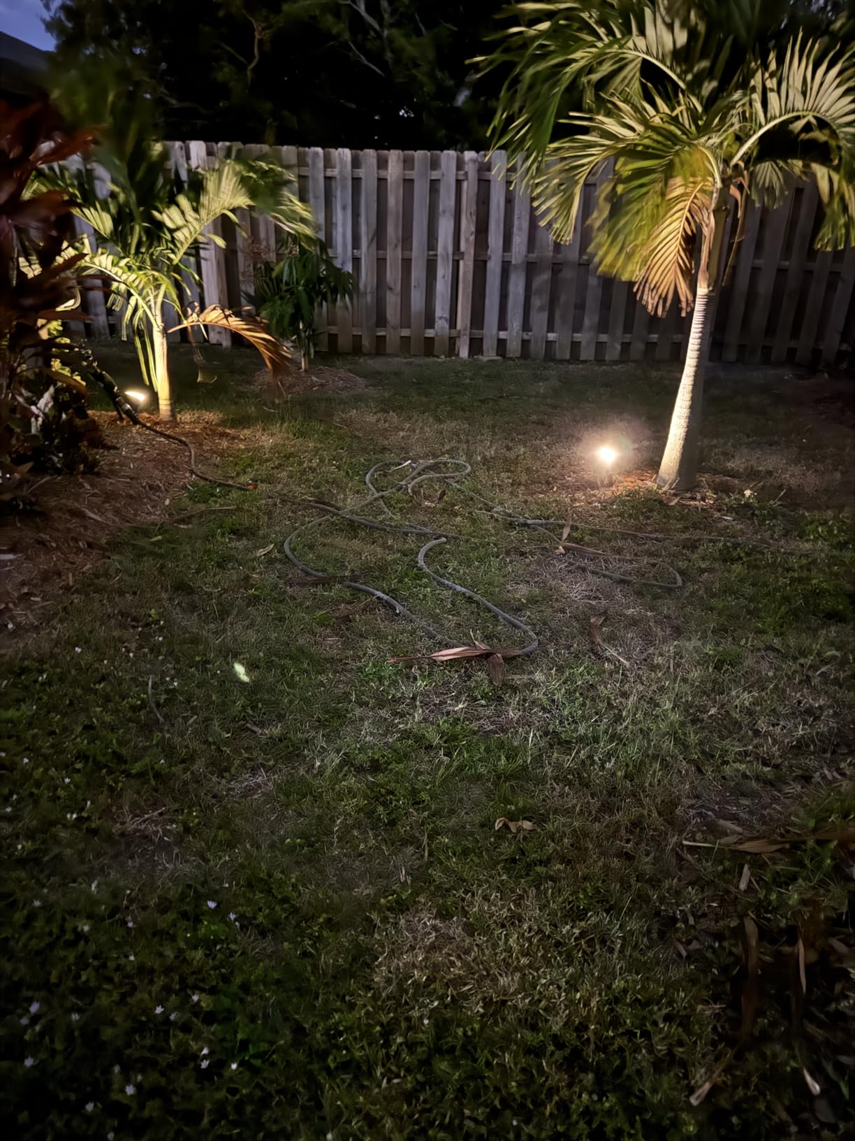 NYMPHY Solar Lights Outdoor Waterproof IP68, 56 LED 3 Lighting Modes Solar Powered Garden Yard Spot Solar Lights for Outside Landscape- 4 Pack (Warm White) customer photo 2