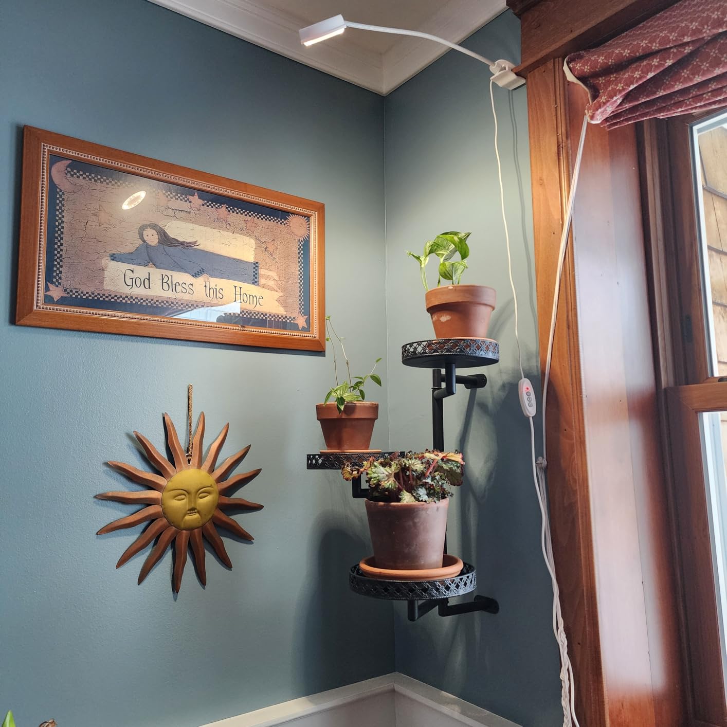 SANSI Grow Lights for Indoor Plants, Pot Clip LED Plant Lights for Indoor Growing, Full Spectrum, Plant Lamp with 4-Level Dimmable, Auto On Off 3 6 12 Hrs Timer for Succulents, Small Plant, White, 5V customer photo 1