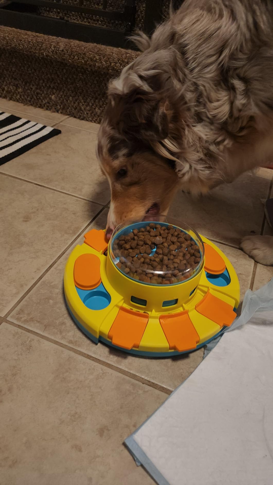 Potaroma Dog Puzzle Toy 2 Levels, Slow Feeder, Pup Food Treat Feeding Dispenser for IQ Training and Entertainment for All Breeds 4.2 Inch Height customer photo 2