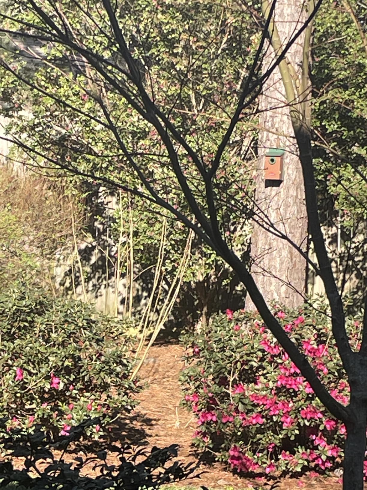 Kingsyard Recycled Plastic Bird House for Outdoor - Durable Nesting Box with Clear View Panel & Predator Guard for Bluebird Wren Swallow Finch, Blue & Brown customer photo 1