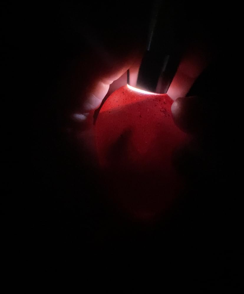 Egg Candlers for Chicken Eggs, 2026 New Egg Candling Light Tester Lamp Egg Checker Incubator for All Chickens Ducks Quail Dark Eggs 【Upgraded USB Charger】 customer photo 1