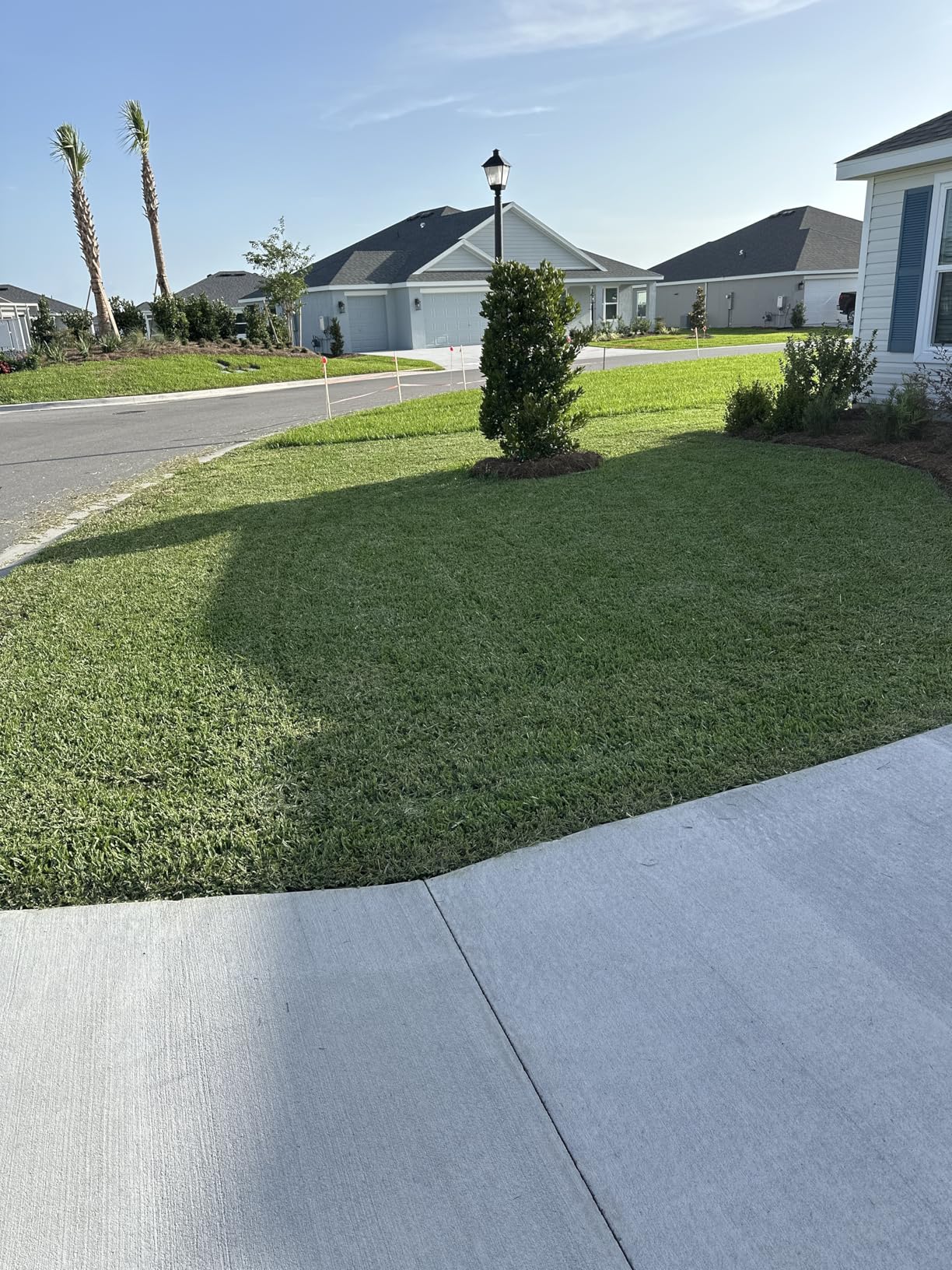 EGO Power+ Electric Lawn Mower, Self-Propelled Cordless, Includes 56V 6.0Ah Battery And 320W Charger - LM2114SP customer photo 2