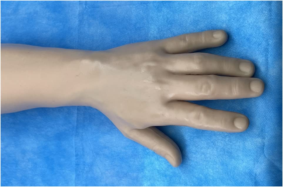 SimCoach Phlebotomy Practice Kit for Injection Training, IV Practice Kit with Phlebotomy Arm, Venipuncture and Blood Draw Practice Kit for Medical Students, Education Training Only customer photo 2