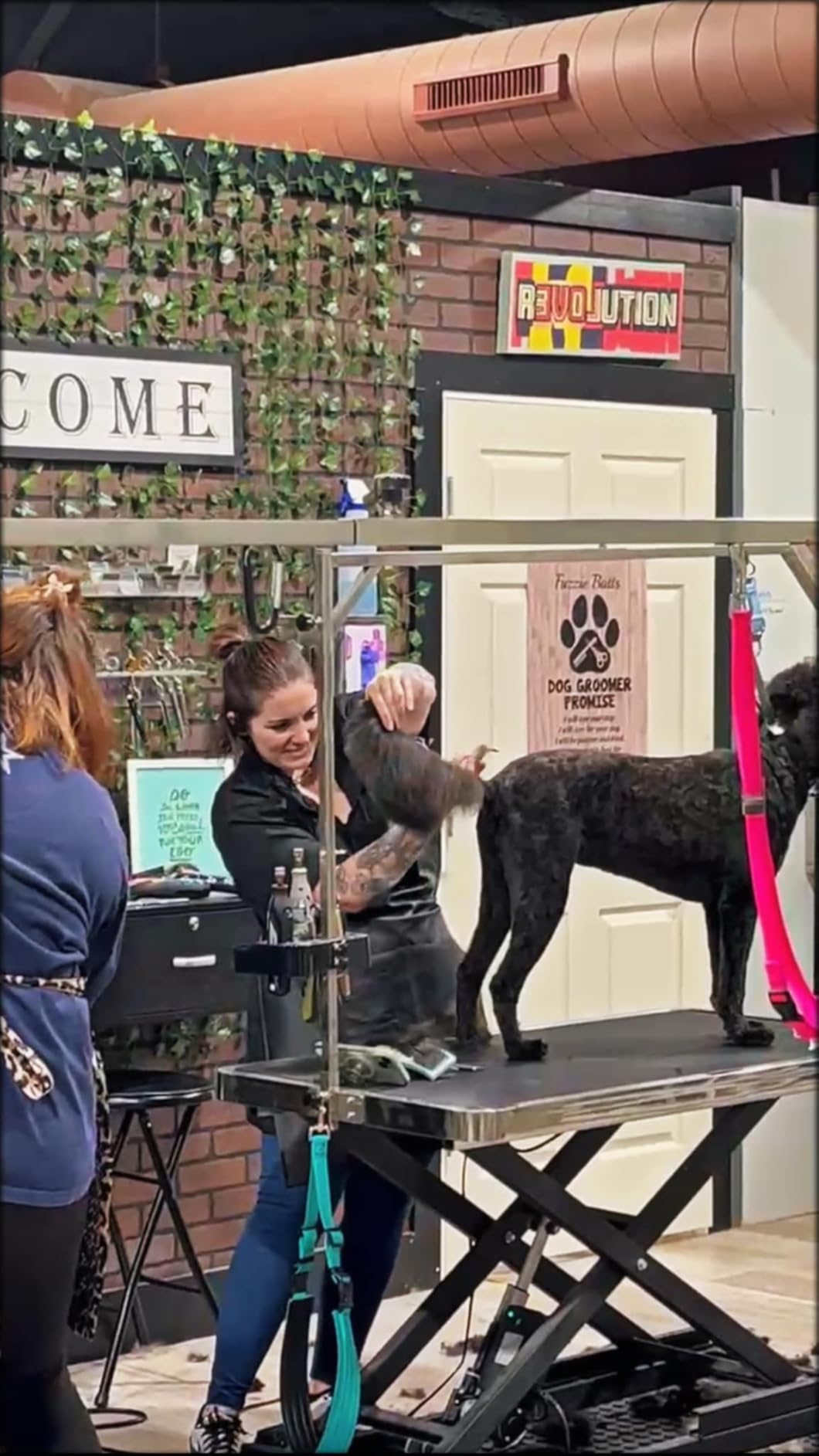 KANIS Professional Electric Dog Grooming Table - Heavy Duty, Height Adjustable Pet Grooming Table w/Leveling Wheels, Grooming Arm, Anti Slip Tabletop & Tool Organizer/Dog Grooming Station (49