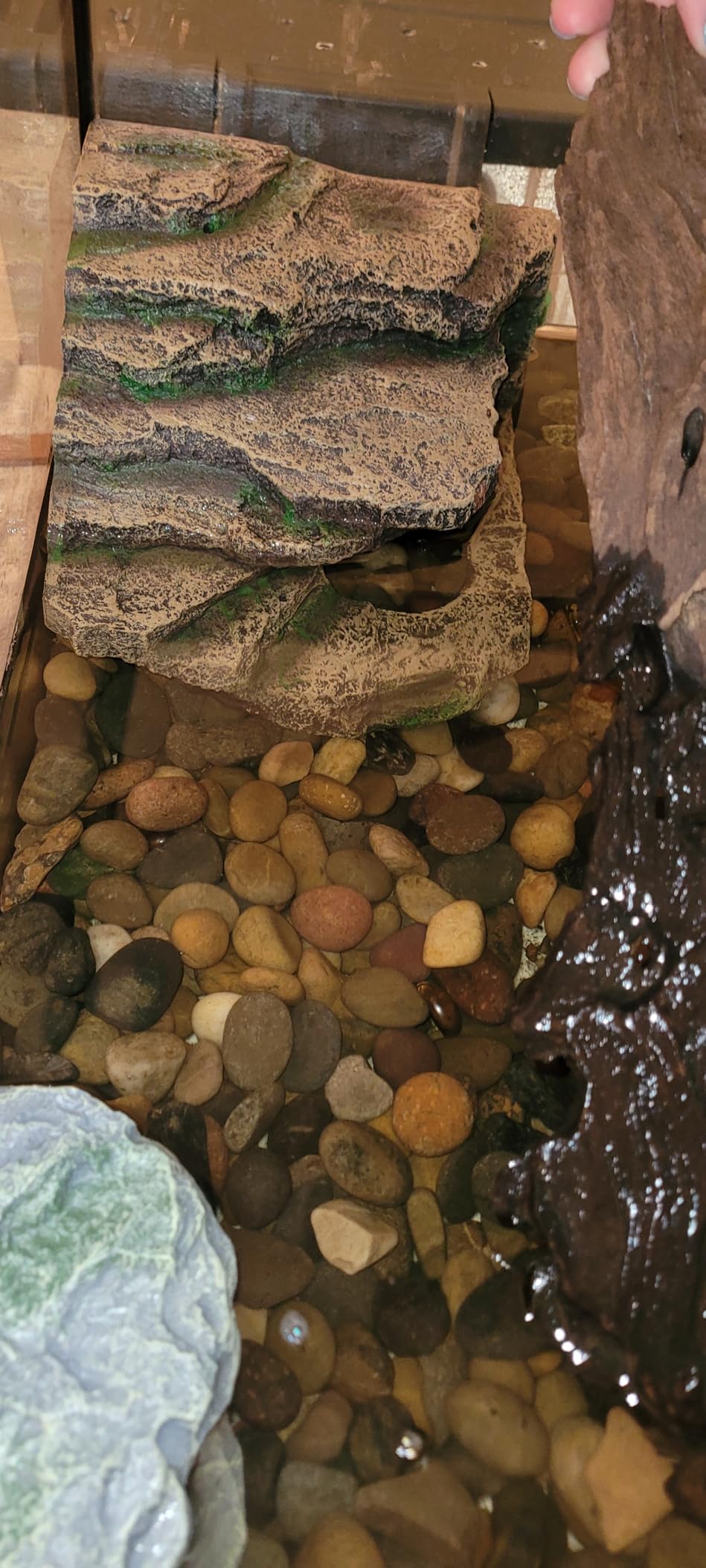 JIHAQUA Terrarium Decor Reptile Hide Reptile Hides and Caves Aquarium Tank Accessories Decorations, Medium customer photo 1