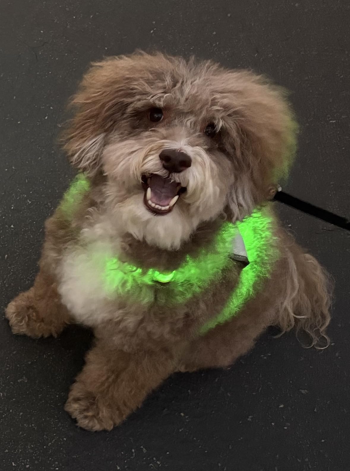 Visinite LED Dog Harness, USB Rechargeable Light Up Dog Vest, 2 Illuminate Modes Glow in The Dark Dog Harness, Adjustable Lighted Pet Harness Light for Night Walking Safety (Green, L) customer photo 1