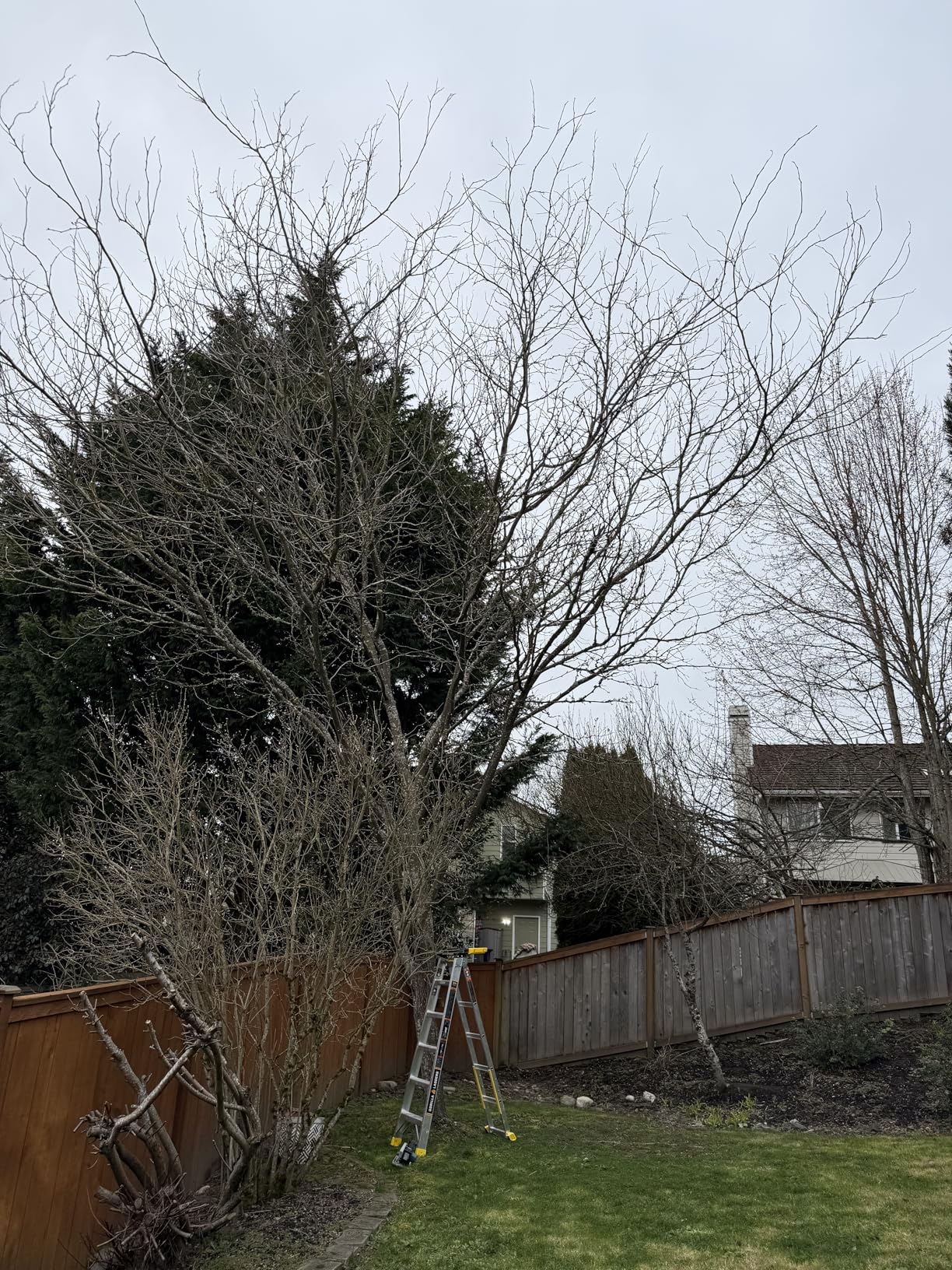 Makita XRJ08Z 18V LXT Lithium-Ion Brushless Cordless Compact One-Handed Recipro Saw, Tool Only customer photo 1