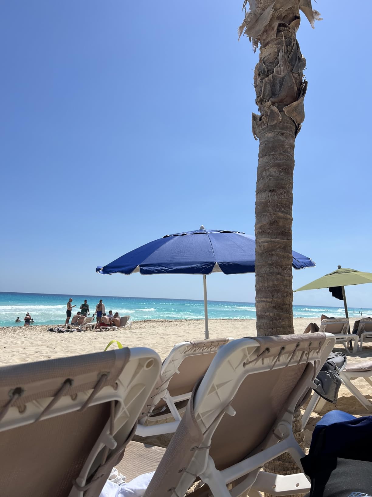 AMMSUN 8 Feet Large Beach Umbrella with Sand Anchor Heavy Duty High Wind Portable Outdoor Umbrellas UV 50+ Protection Air Vent Tilt Patio Garden Pool customer photo 1