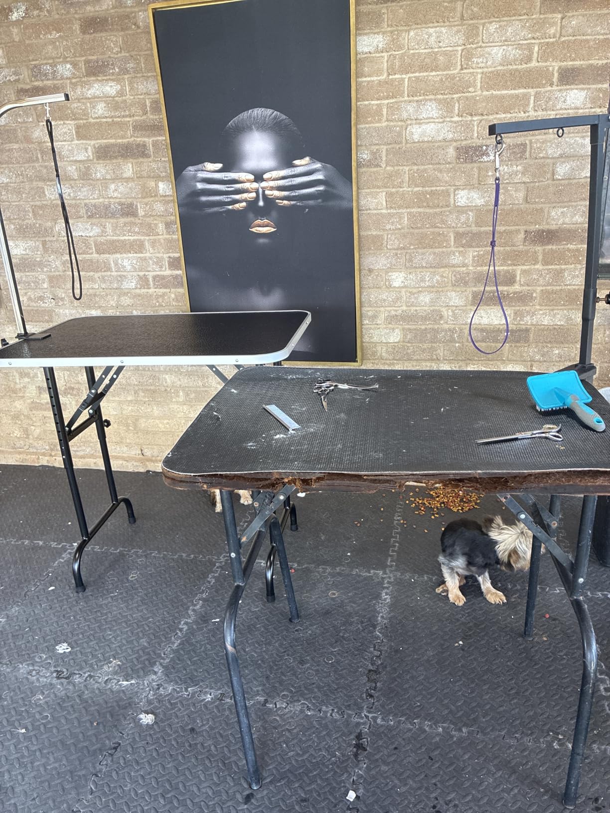 LEIBOU 36-inch Height Adjustable(23''~33.8'') and Foldable Pet Dog Grooming Table with Grooming Arm & Noose for Dog Cat Pet Grooming Maximum Capacity Up to 260lbs customer photo 2