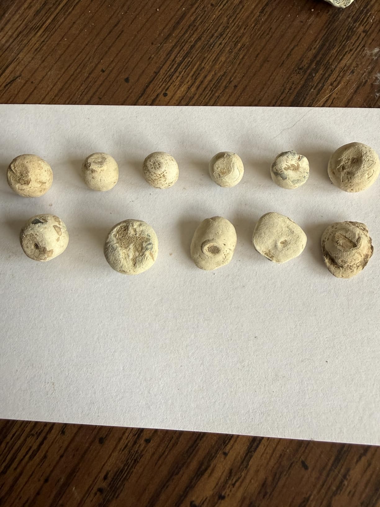 MINELAB MANTICORE High-Power Multi-IQ+ Waterproof Metal Detector for Adults with Advanced Target ID (11