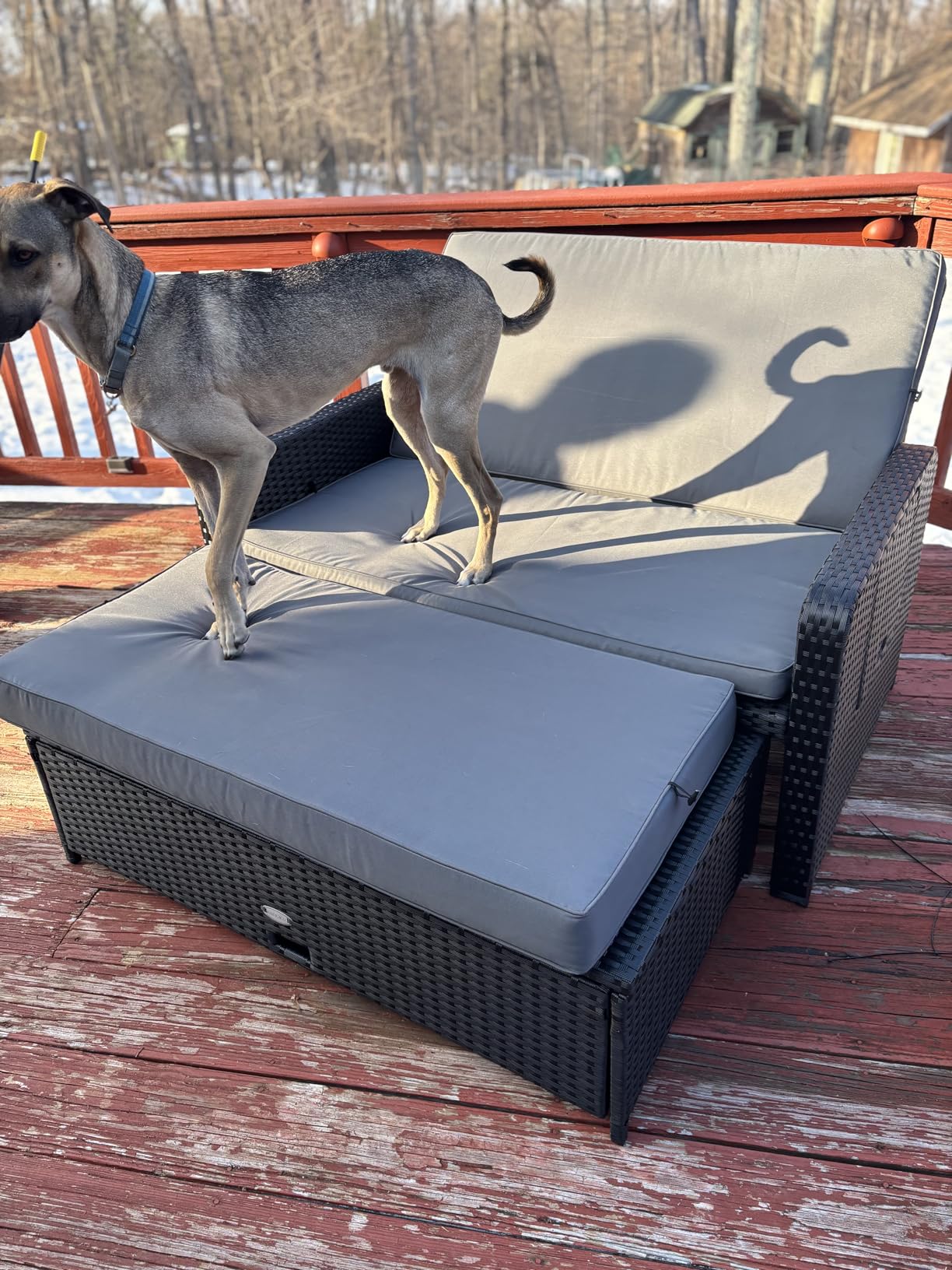 Tangkula Patio Rattan Daybed with 4-Level Adjustable Backrest, Outdoor PE Wicker Loveseat with Storage Ottoman & Folding Side Tray customer photo 1