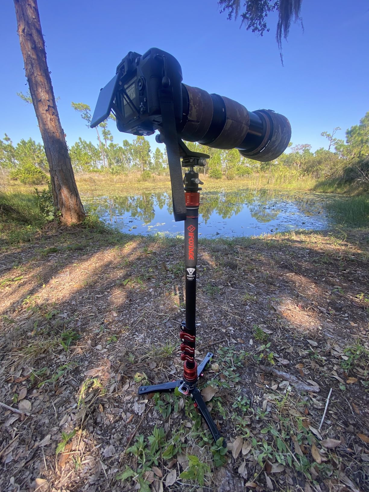 IFOOTAGE Cobra 3 Monopod C180F-P, 71