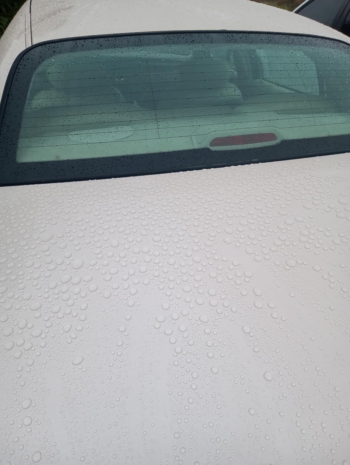 Jay Leno's Garage Radiant Ceramic Coating Cars and Trucks, Easy-to-Apply Long-Lasting Ceramic Coat Protection, Enhances Shine and Gloss customer photo 1