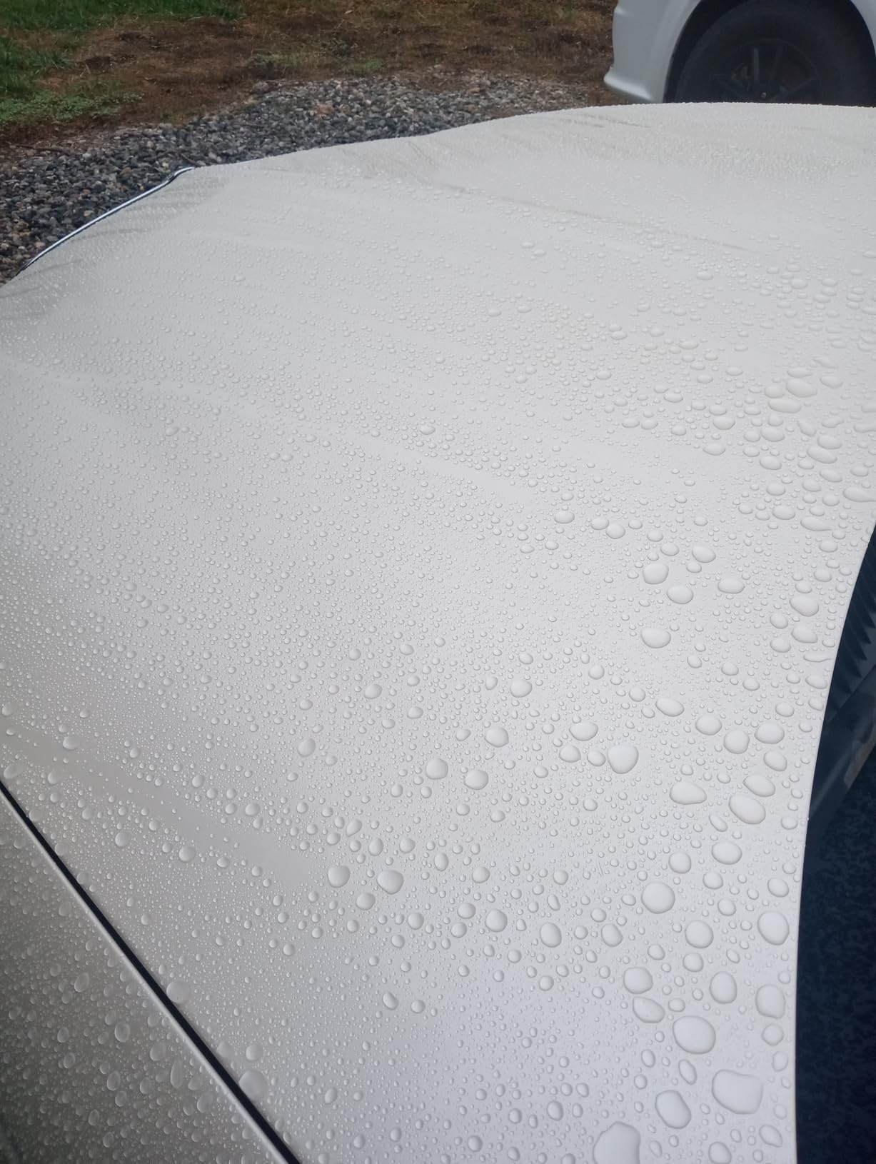 Jay Leno's Garage Radiant Ceramic Coating Cars and Trucks, Easy-to-Apply Long-Lasting Ceramic Coat Protection, Enhances Shine and Gloss customer photo 2