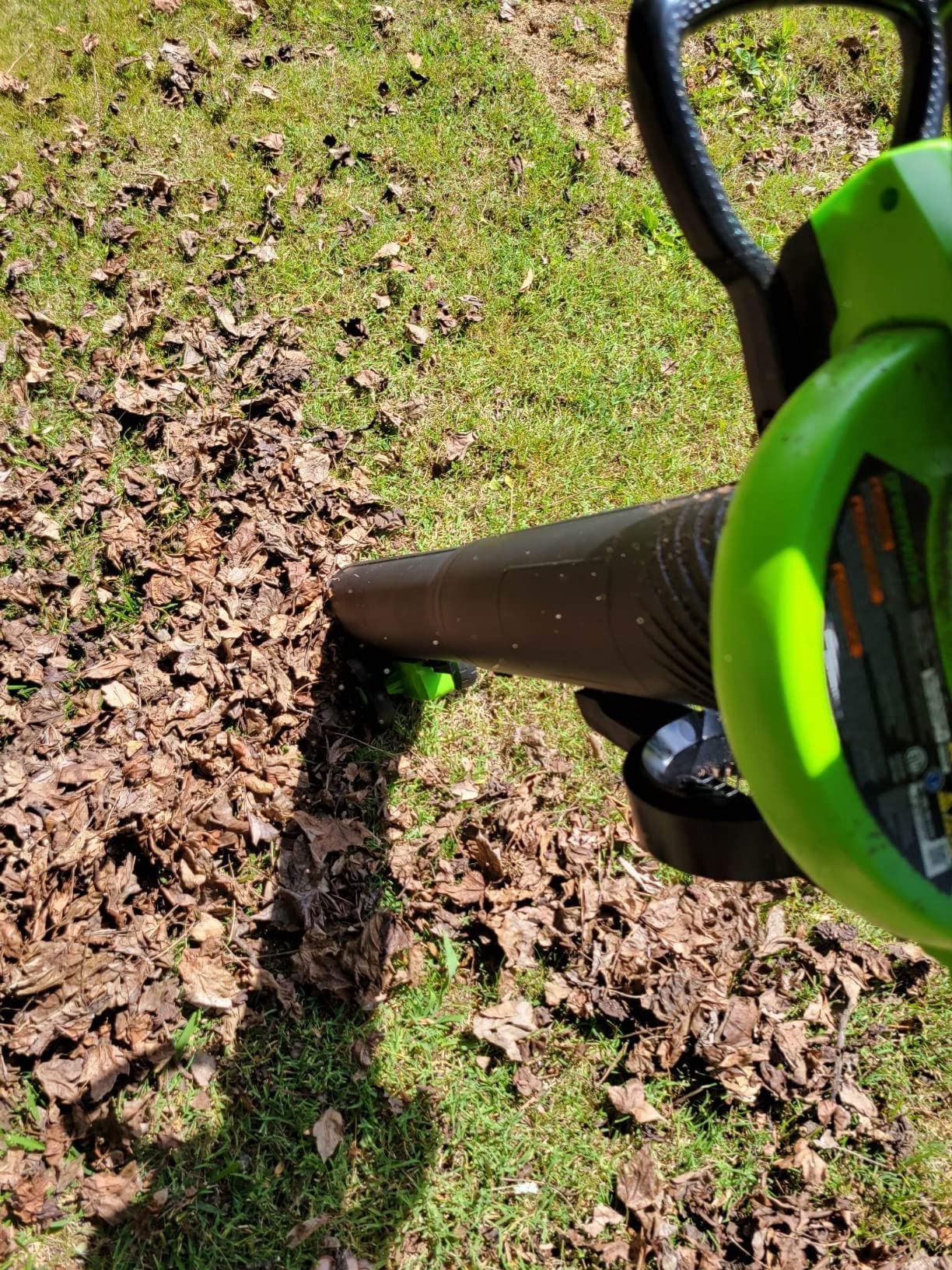 Greenworks 40V (230 MPH / 505 CFM) Cordless Brushless Leaf Blower/Vacuum with Bag, High Power, Lightweight & Quiet for Yard Debris Cleanup, Includes 5.0Ah Battery & Charger customer photo 4