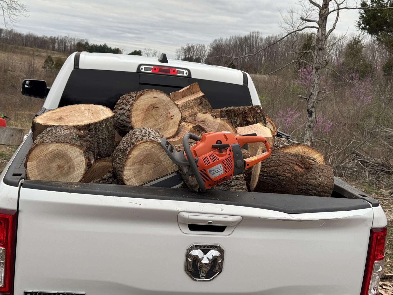 Husqvarna 460 Rancher Gas Powered Chainsaw, 60.3-cc 3.6-HP, 2-Cycle X-Torq Engine, 24 Inch Chainsaw with Automatic Adjustable Oil Pump, For Wood Cutting, Tree Trimming and Land Clearing customer photo 2