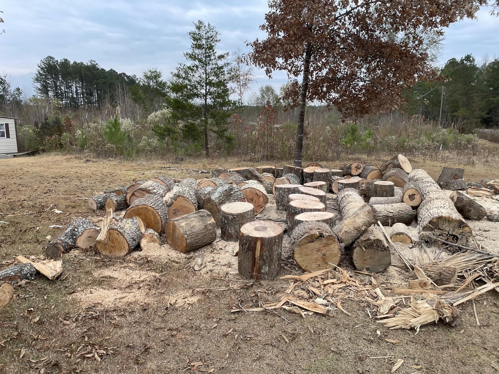 Husqvarna 450 Rancher 20 Inch Gas Chainsaw, 50.2-cc 3.2-HP, 2-Cycle X-Torq Engine, For Tree Pruning, Yard Cleanups and Firewood Cutting, 970613120 customer photo 2