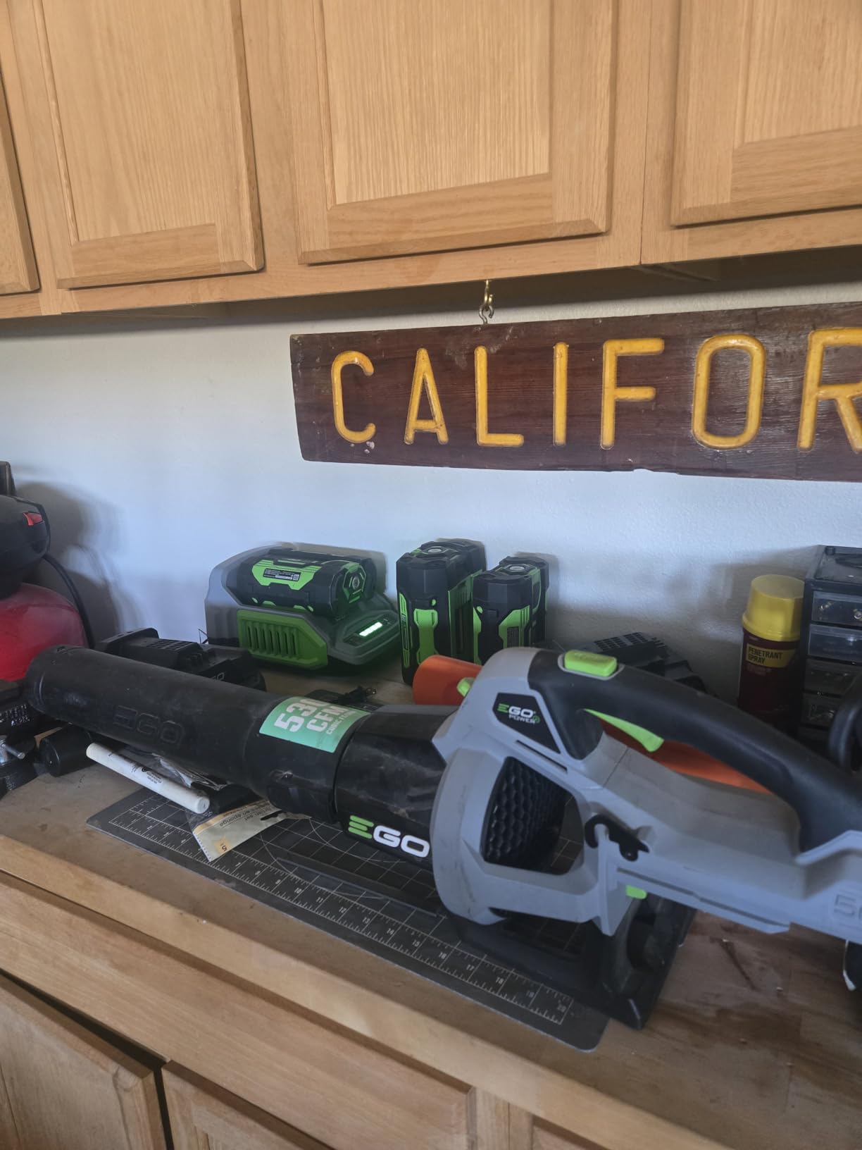 EGO Power+ Pole Saw, Cordless Electric Pole Saw for Tree Trimming with Telescopic LED Cut Line Indicator, Includes 56V 2.5Ah Battery and Charger - PS1001 customer photo 2