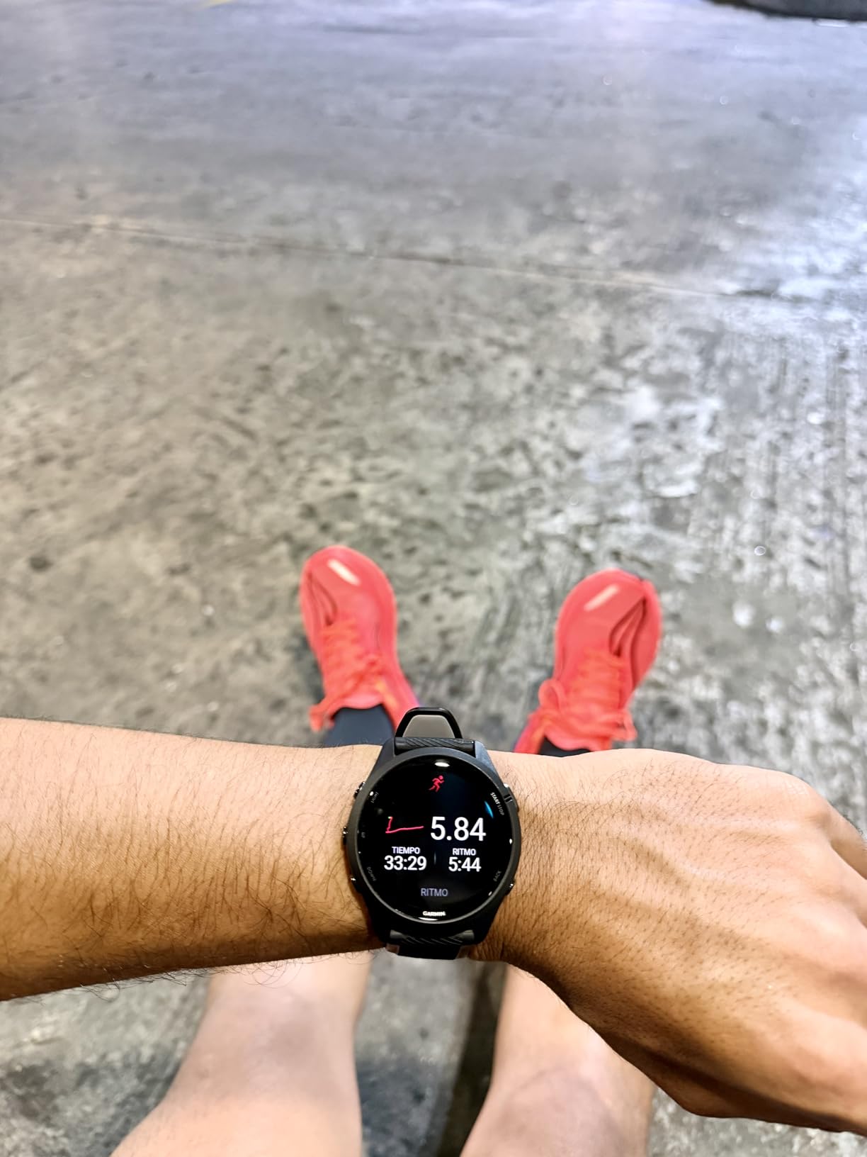 Garmin Forerunner 265S Running Smartwatch, Colorful AMOLED Display, Training Metrics and Recovery Insights, Whitestone and Neo Tropic customer photo 2