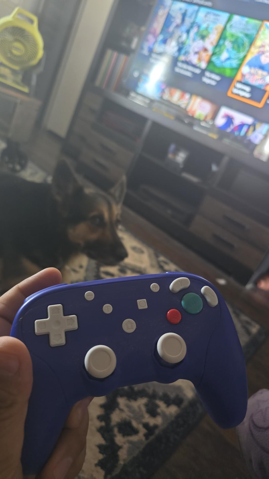 Retro Fighters BladeGC Wireless Controller Next-Gen - GameCube, Switch, PC, Gameboy Player Compatible (Black) customer photo 1