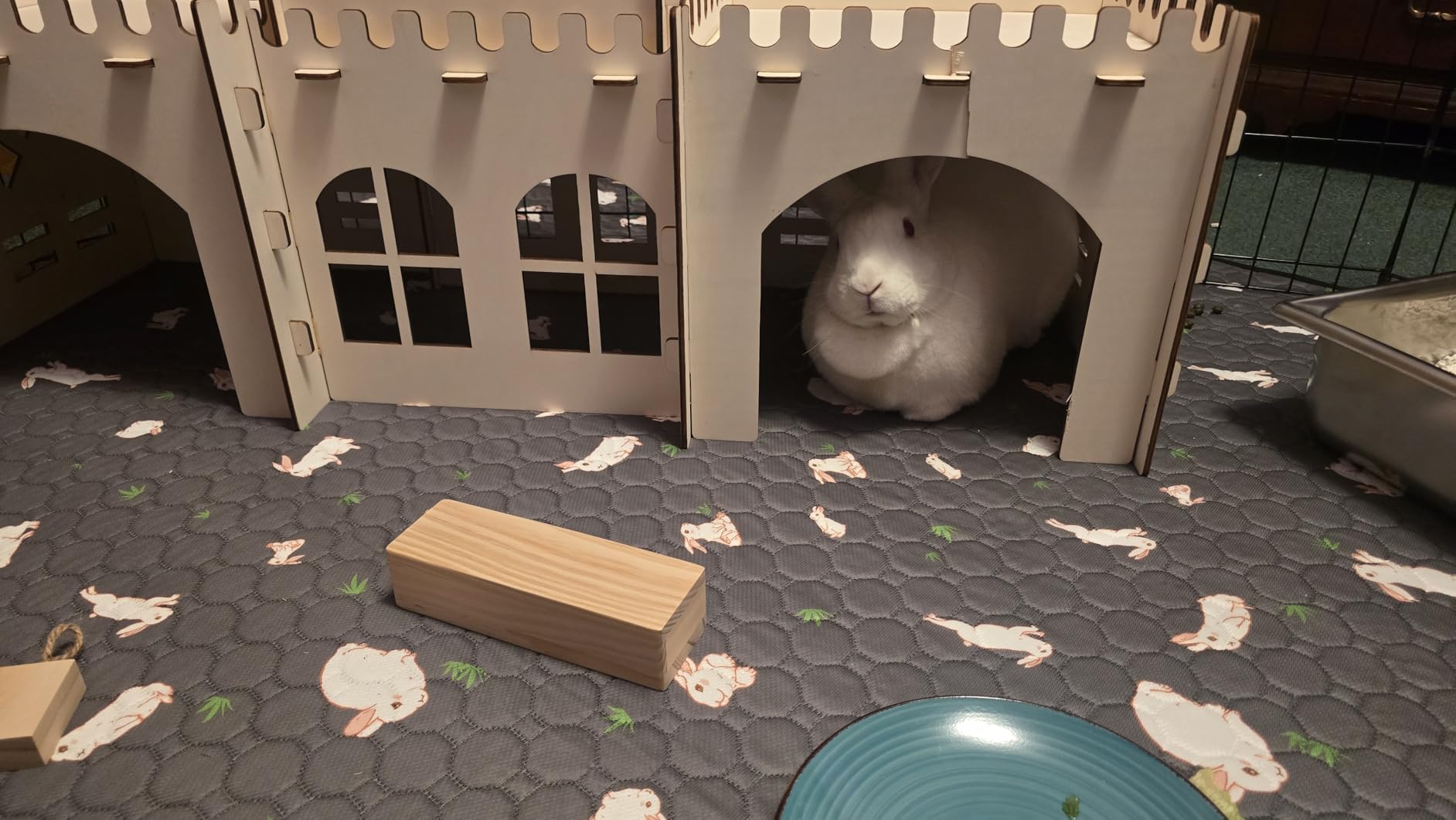 SoulThink® Interactive Wooden Pet Rabbit Toys - Sniff n' Snack Bunny Chew Toys for Rabbit Treats, Suited as Guinea Pig, Hamster for Boredom, Bunny Toys for Rabbits Keep Busy (2 Sets) customer photo 2