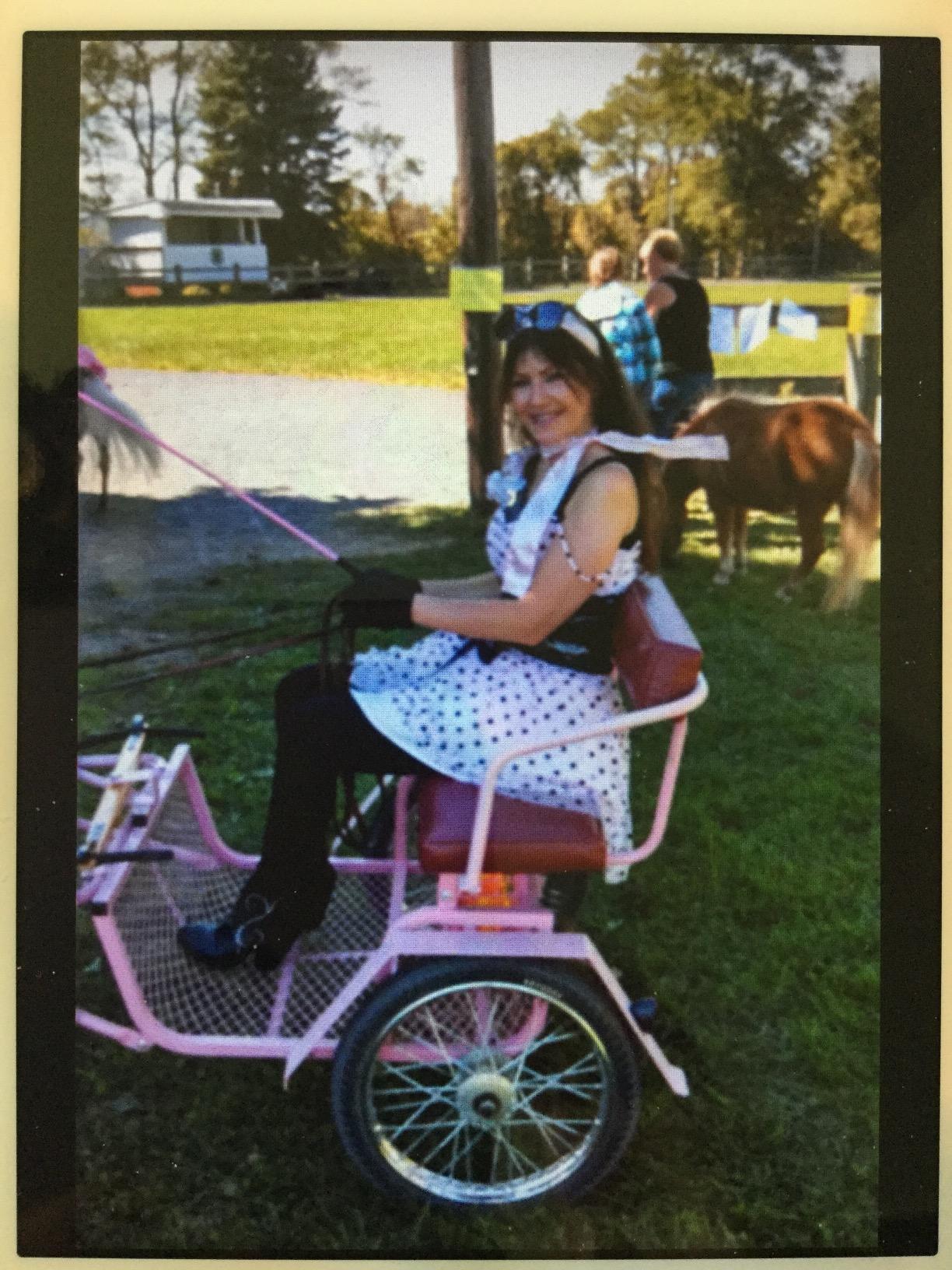 Gazelle Tony Little Total Body Fitness Workout Exercise Elliptical Glider Supports 250-300lbs with Low-Impact Design for Home Gym customer photo 1