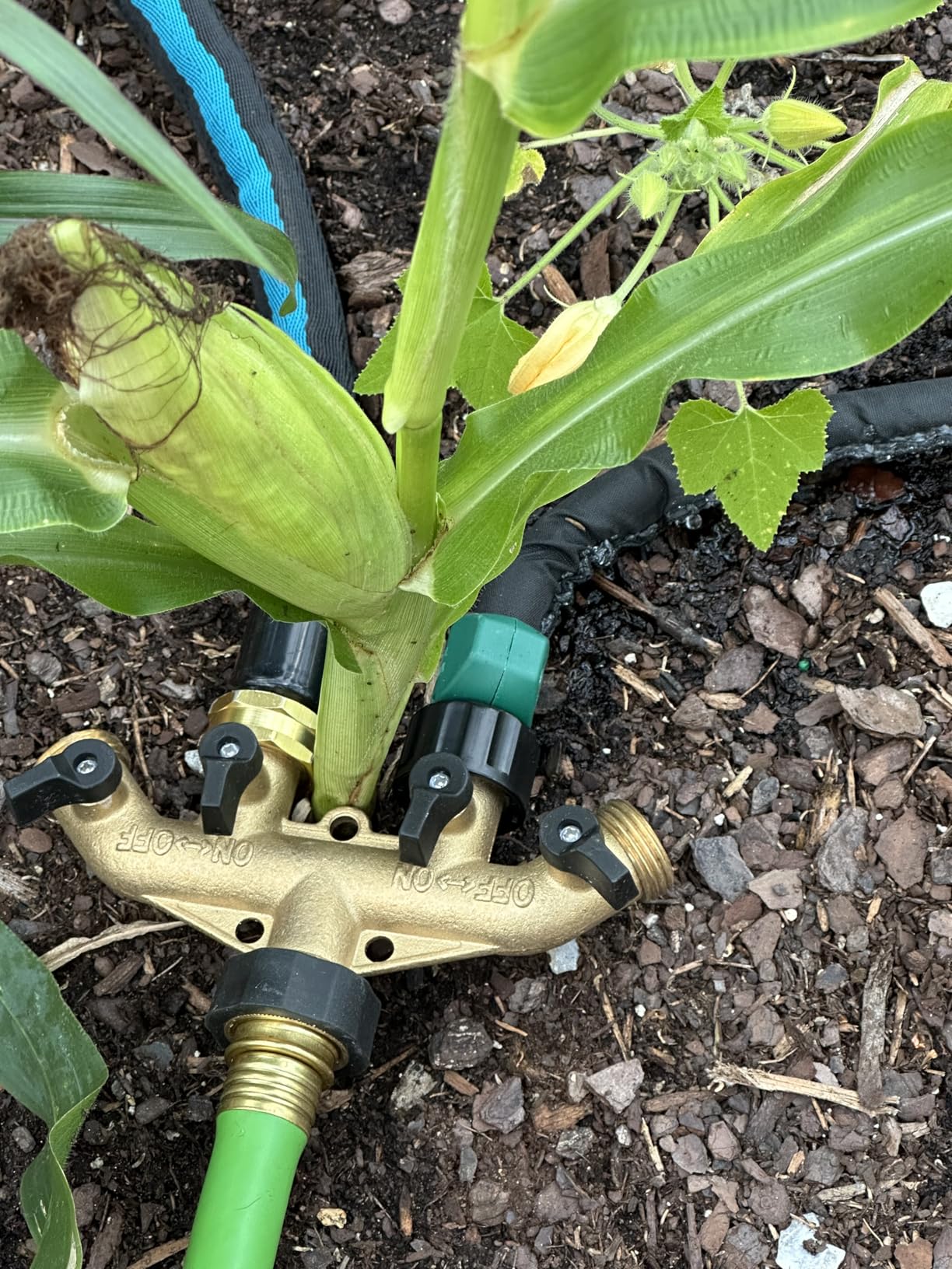 4 Pack Flat Soaker Hose 25FT for Garden Beds, Lightweight Drip Soaker Hose 100 ft for Foundation Watering of Plants - Garden Sprinkler Soaker Hoses with Heavy Duty & Easy to Install (25ftx4) customer photo 1