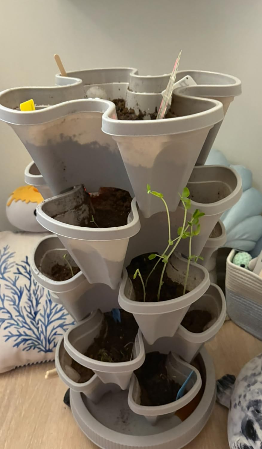 GameXcel Vertical Planter 5 Tier Stackable Planters Garden Planters Strawberry Herb Flower and Vegetable Planter Indoor Outdoor Gardening Pots with Removable Wheels and Tools customer photo 1