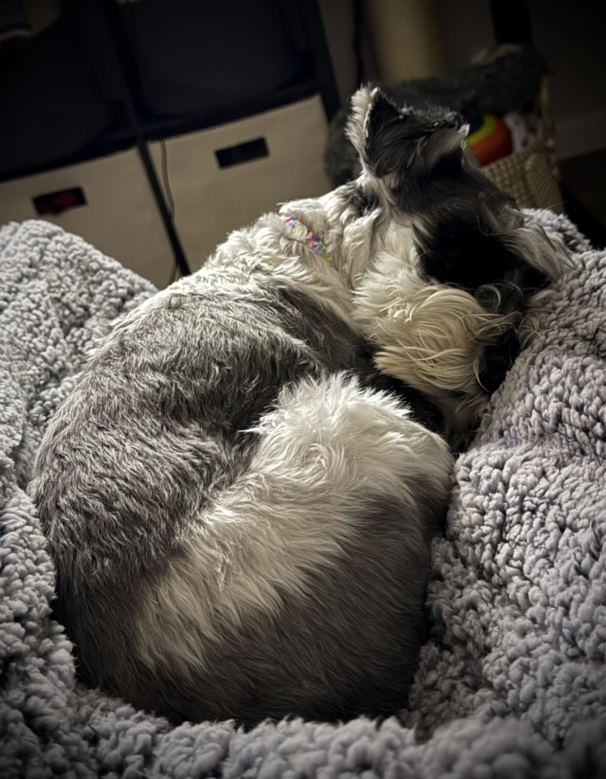 SEALY Electric Blanket Heated Throw 50