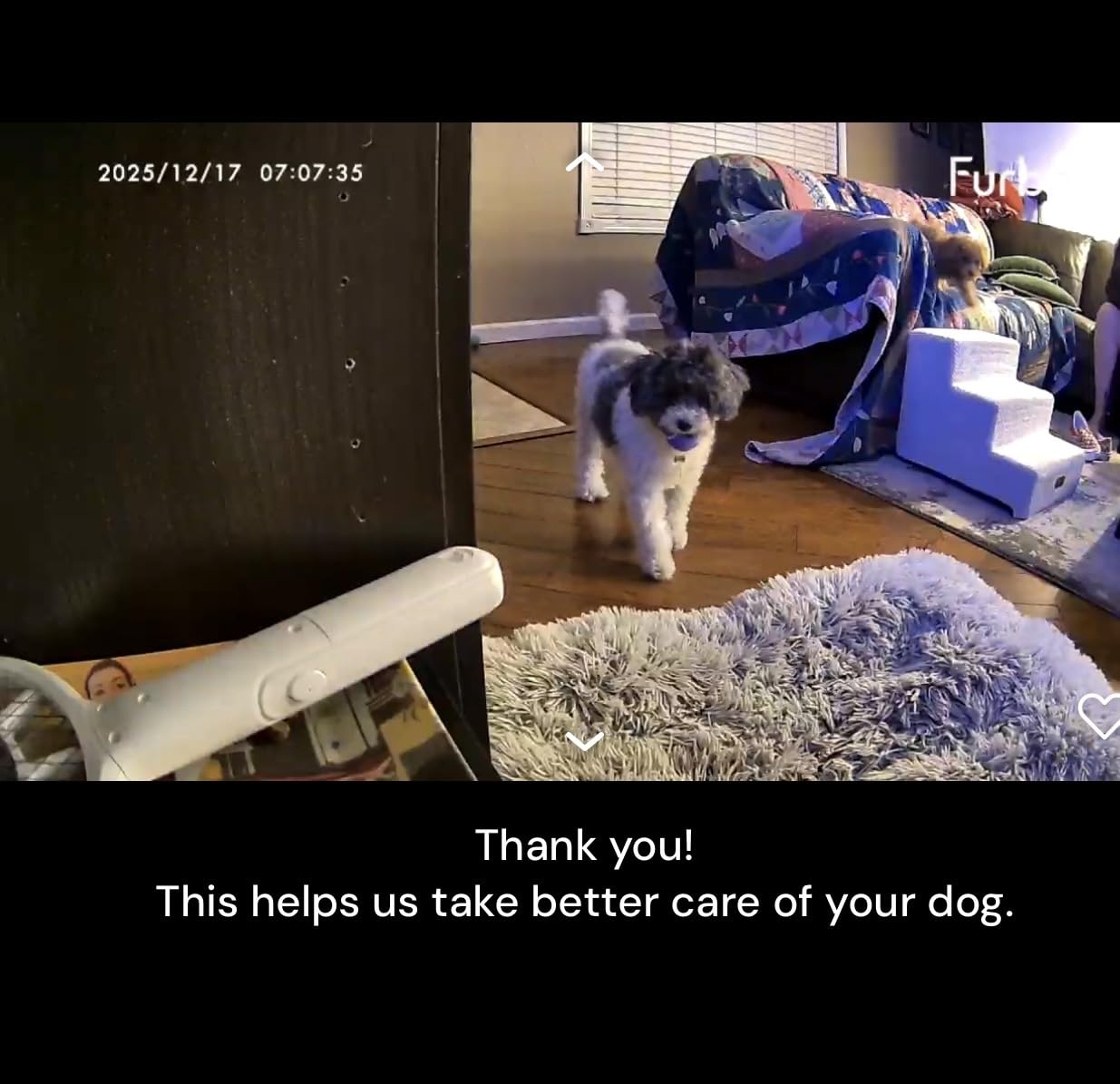 Furbo 360° Dog Camera [Subscription Required] Unlock w/Paid Plan: Home Security & Dog Safety Alerts, Rotating Pet Treat Toss, 2-Way Speaker customer photo 1