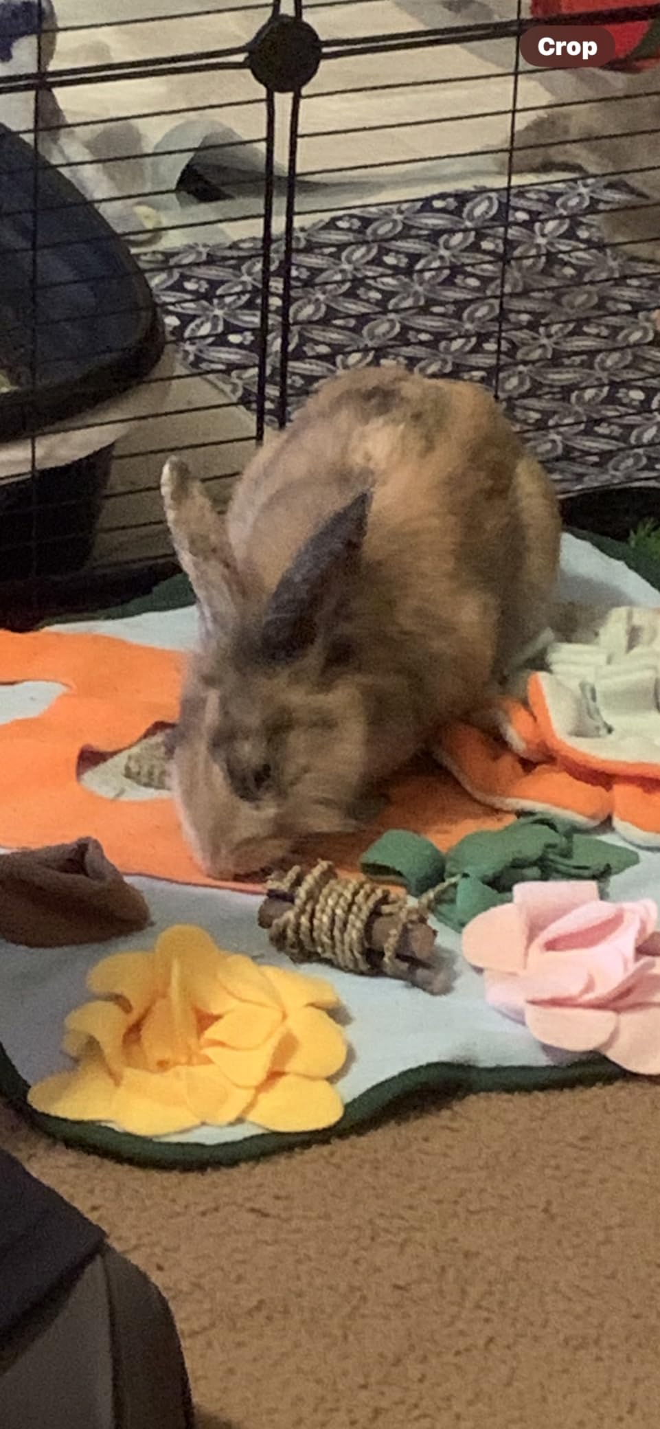 Adpartner Rabbit Foraging Mat Bunny Toys, 20