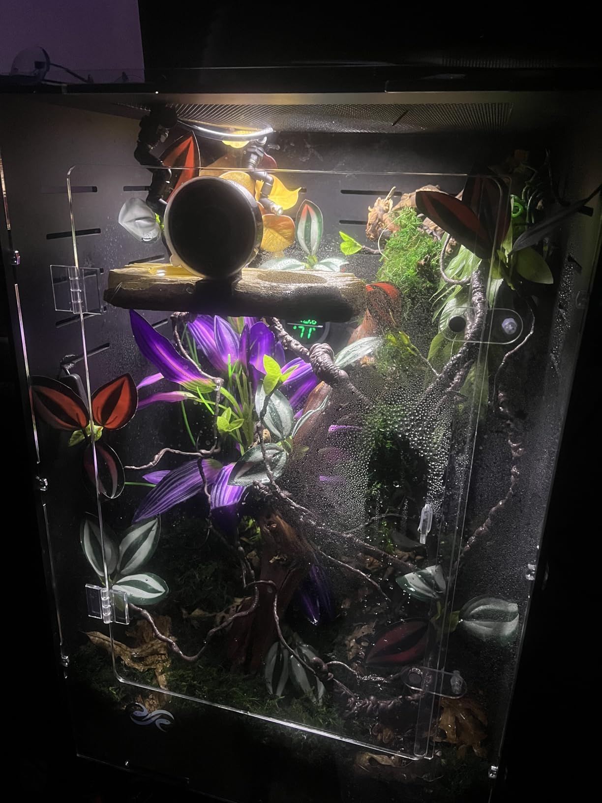 Moistenland WiFi Enabled Reptile Mister for Terrariums, Reptile Misting System for Snake Ball Python Tortoise Lizard Aquarium with 2 Adjustable Misting Nozzles customer photo 2